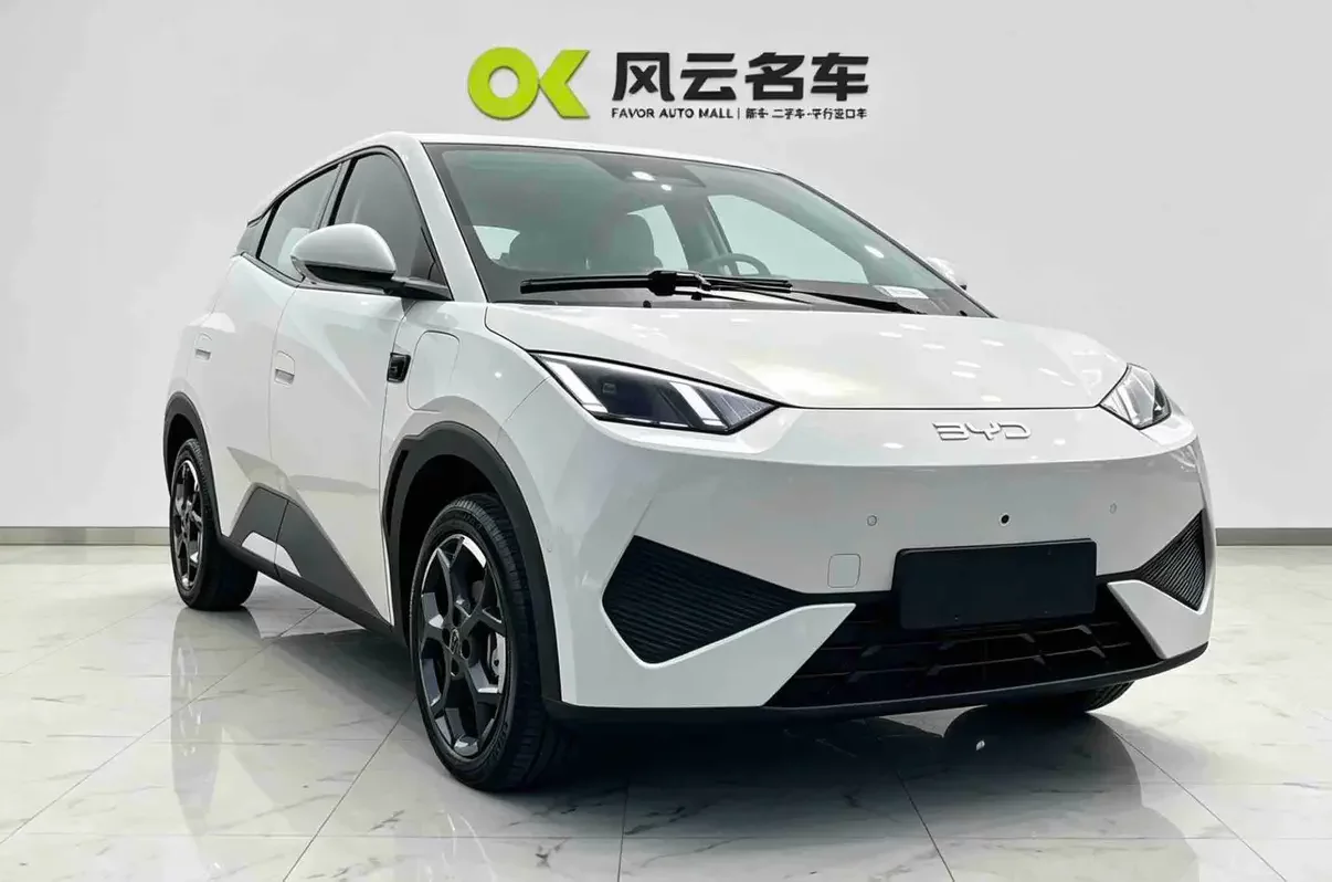 BYD seagull