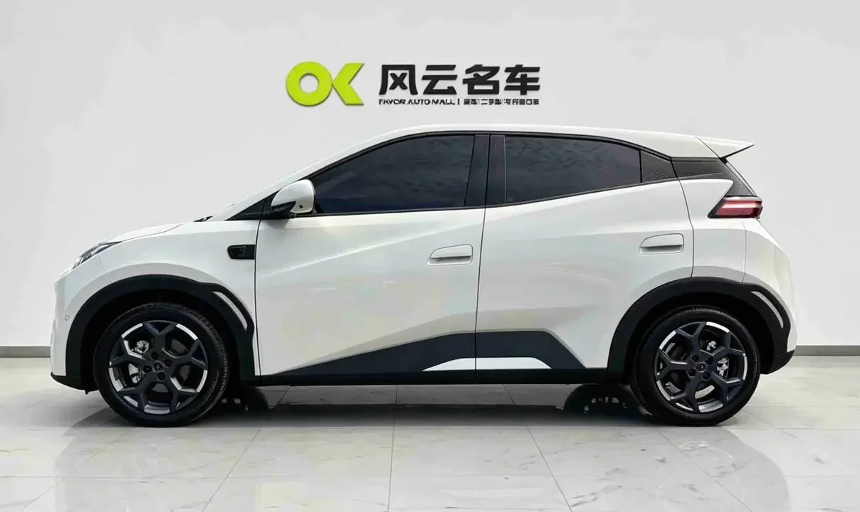 BYD seagull