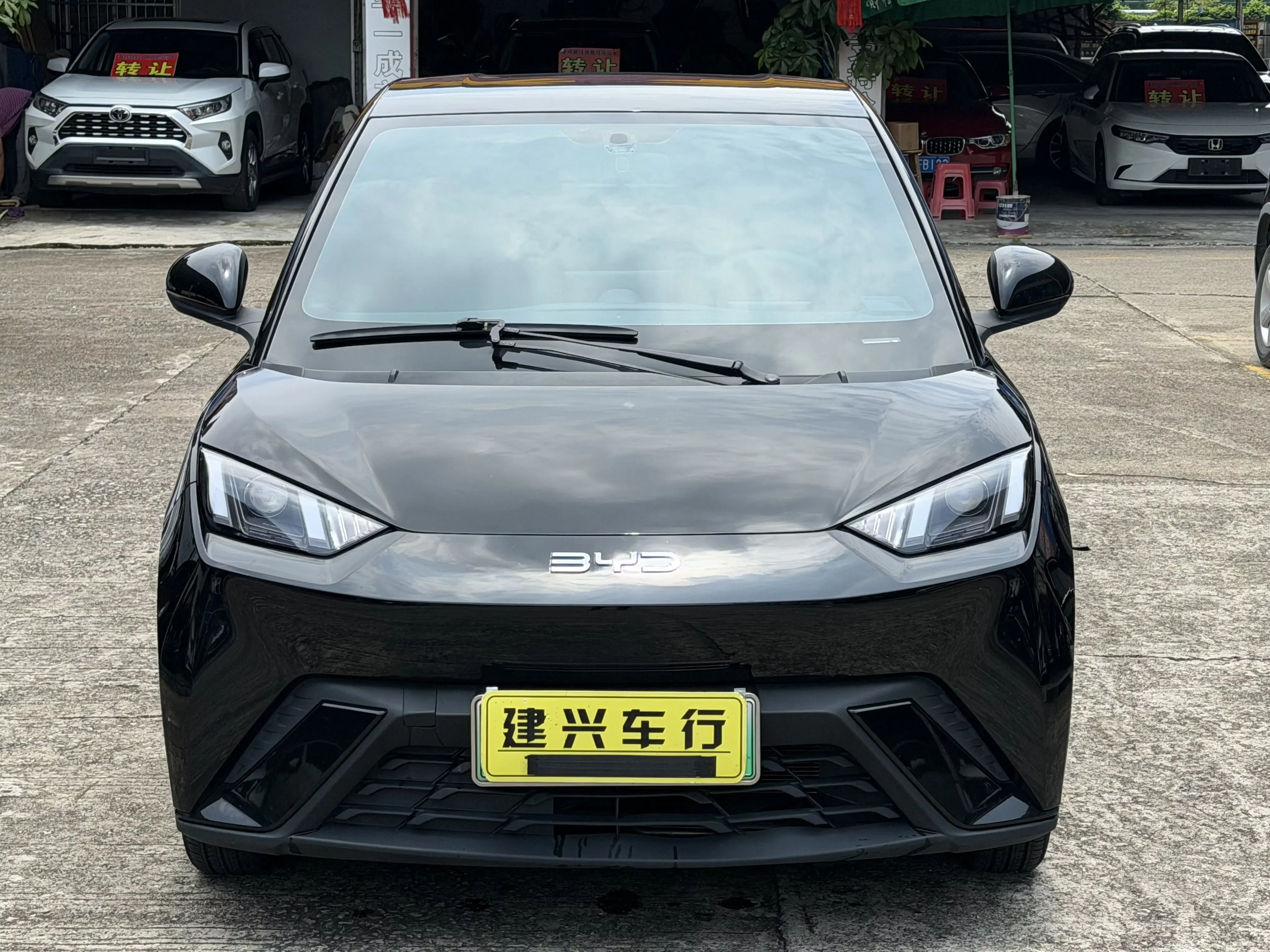 BYD seagull