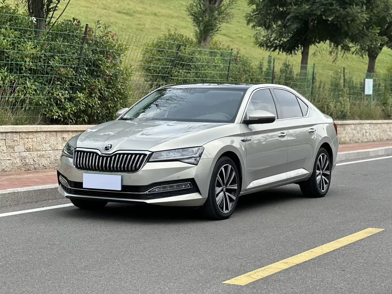 Skoda Speedy