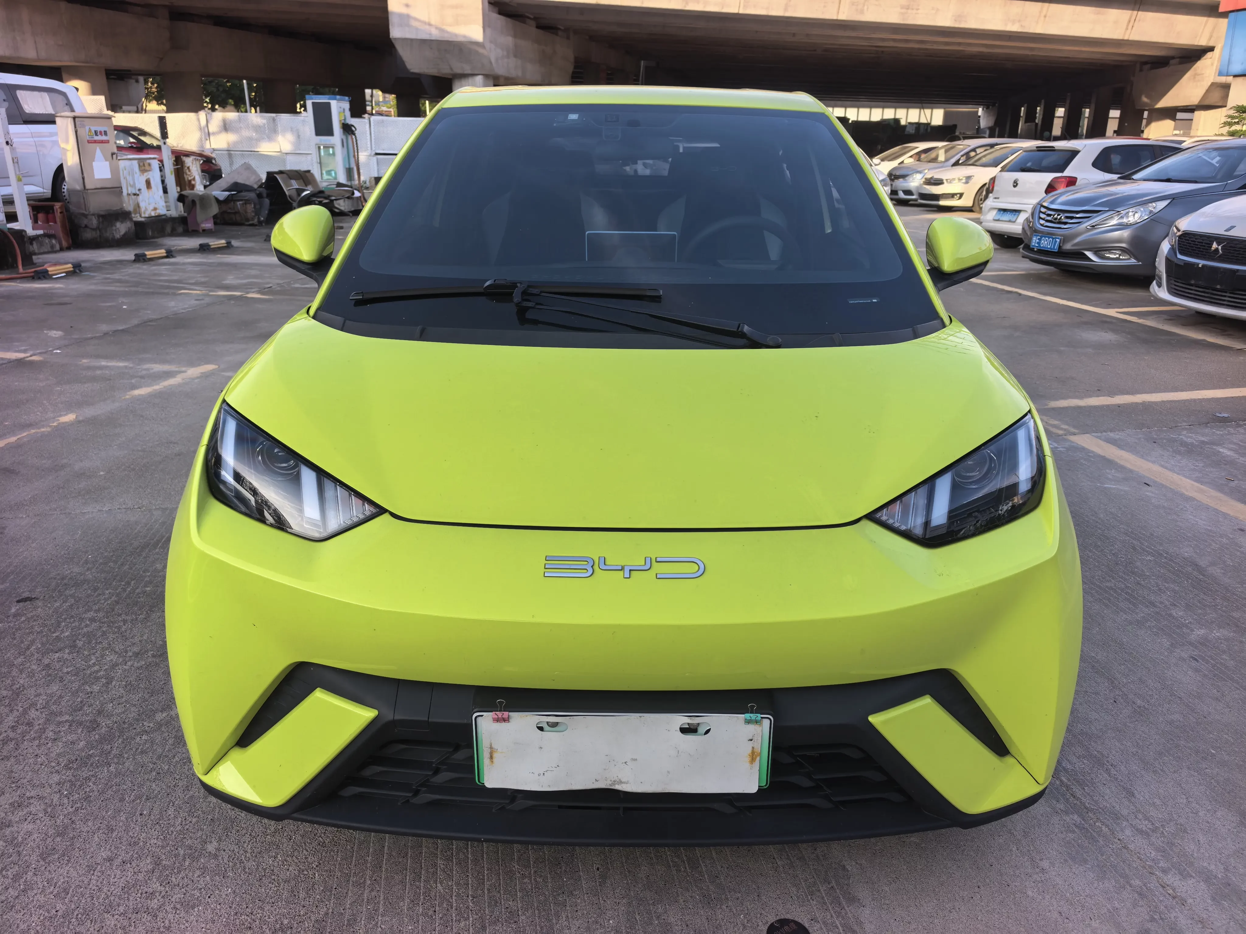 BYD seagull
