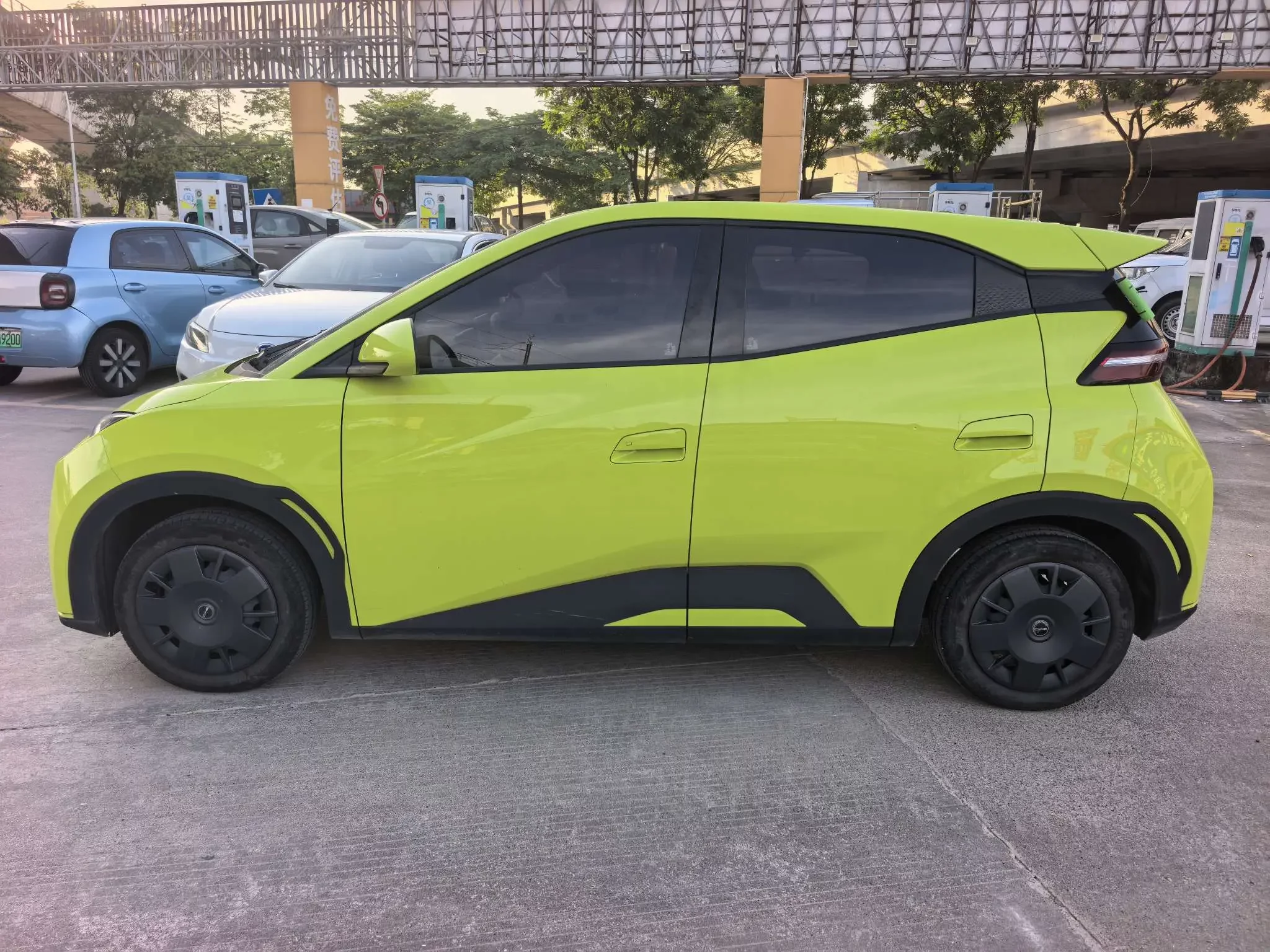 BYD seagull