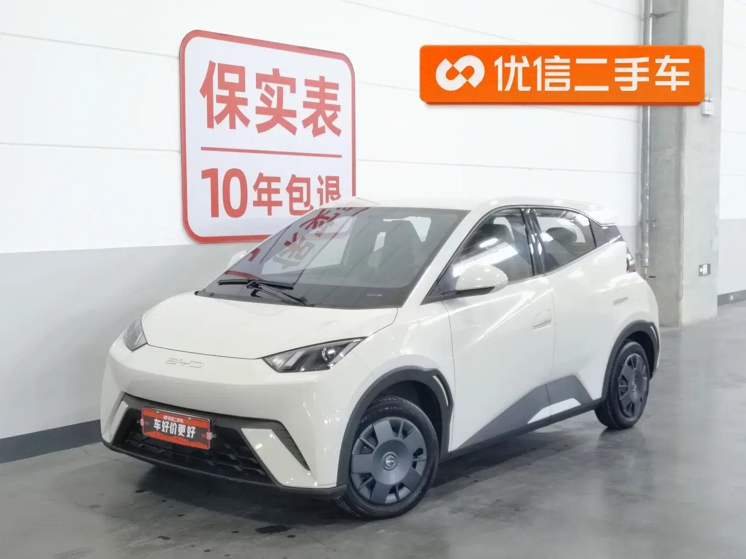 BYD seagull