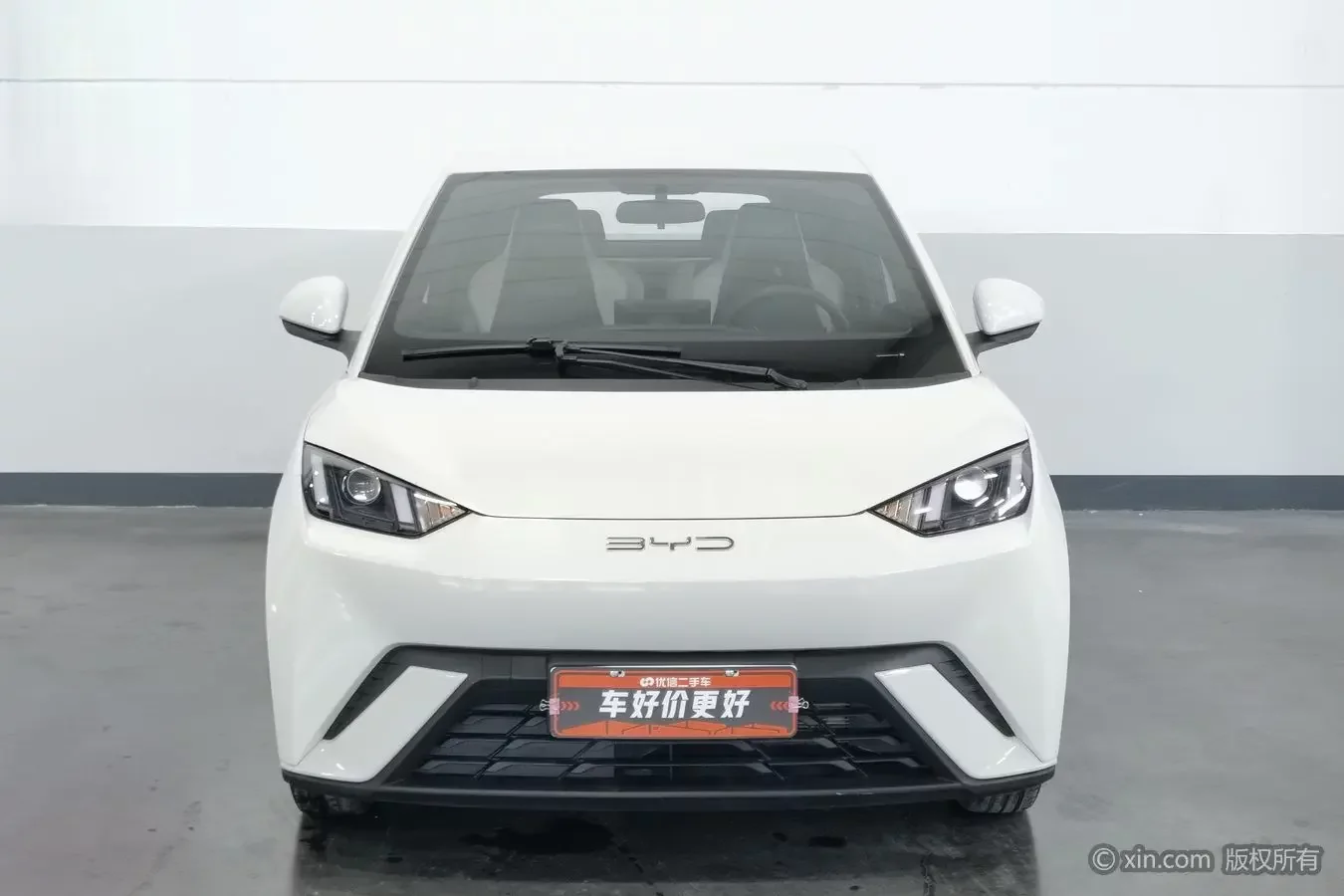 BYD seagull