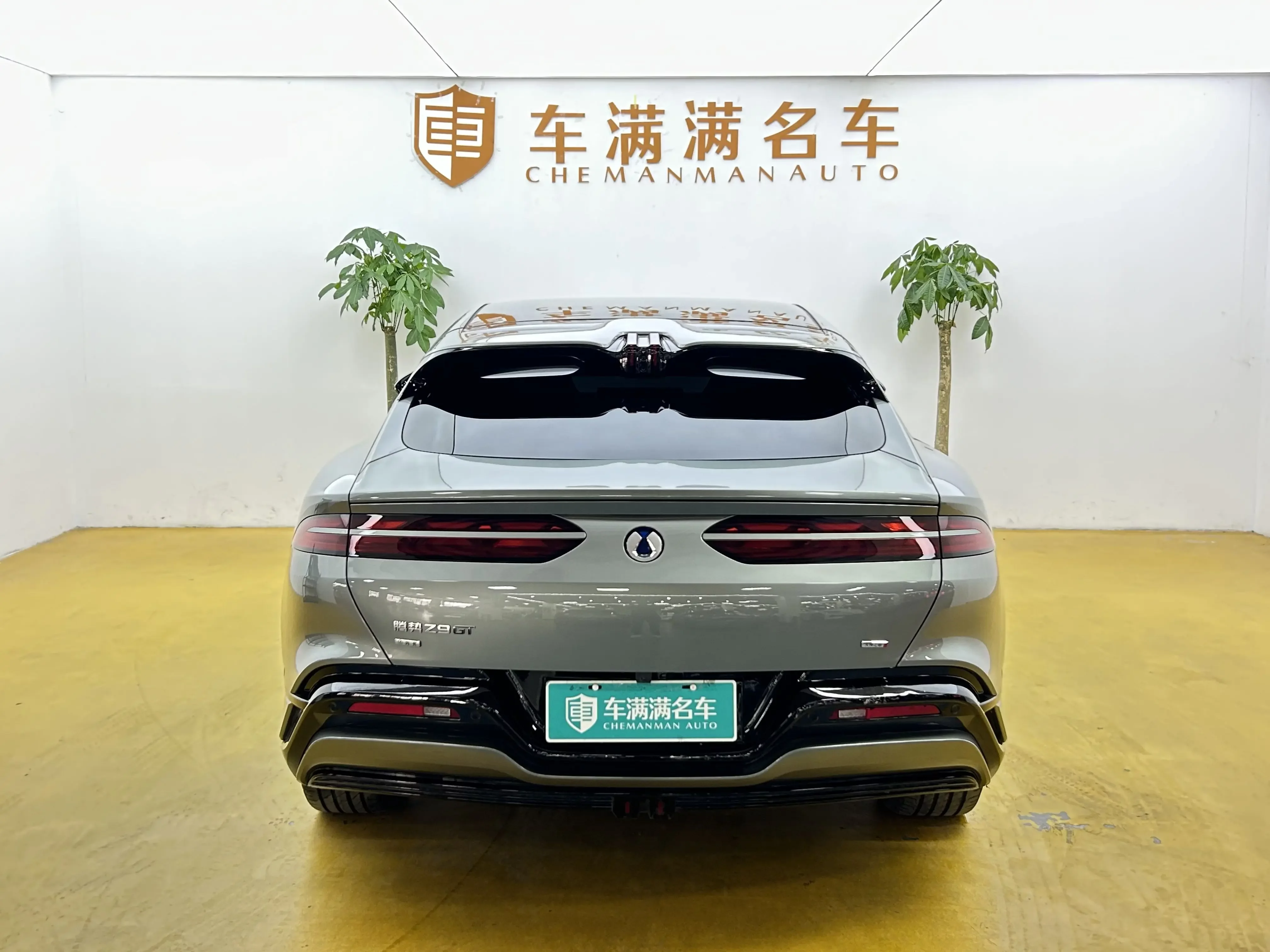 Denza BYD Z9GT EV