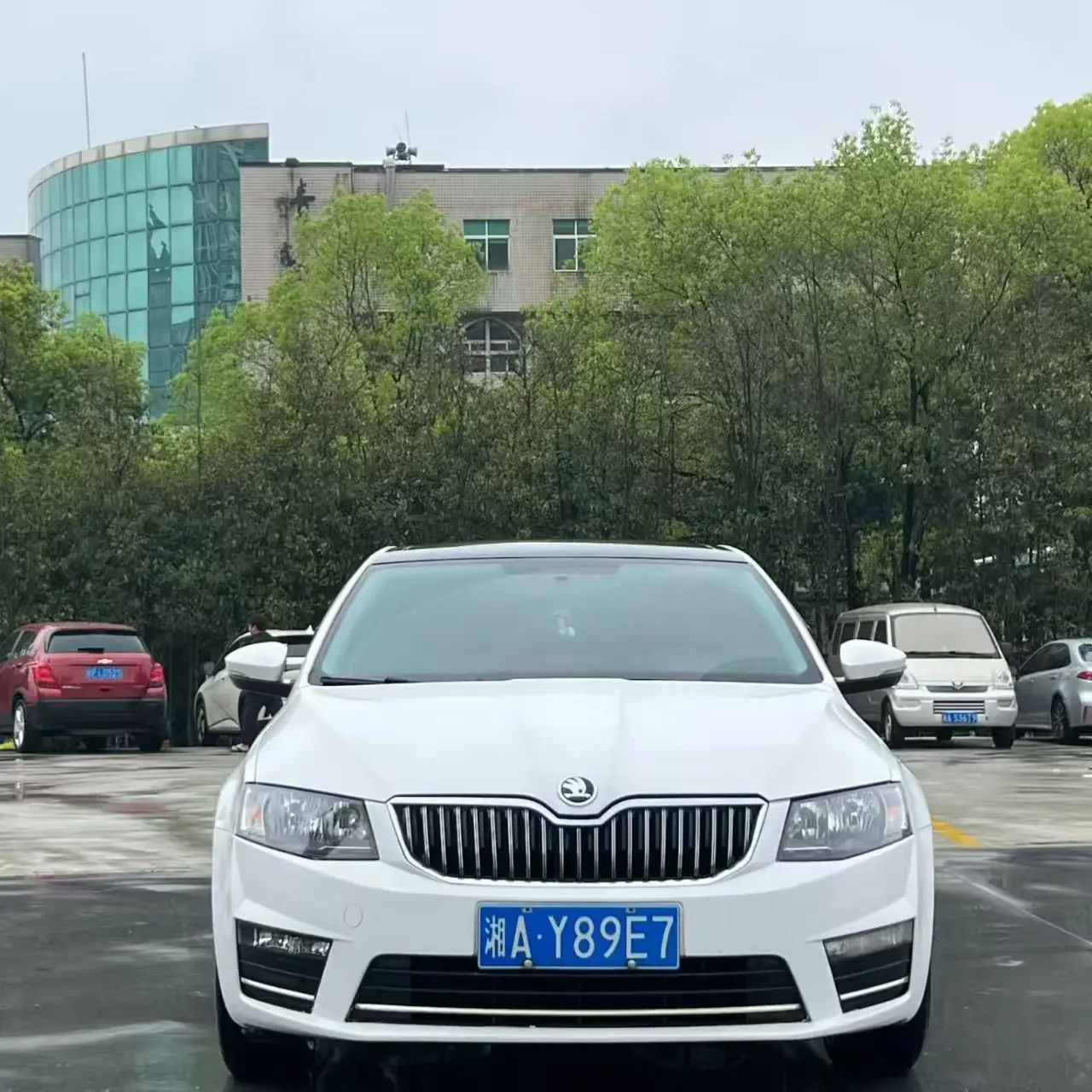 Skoda Octavia  из Китая