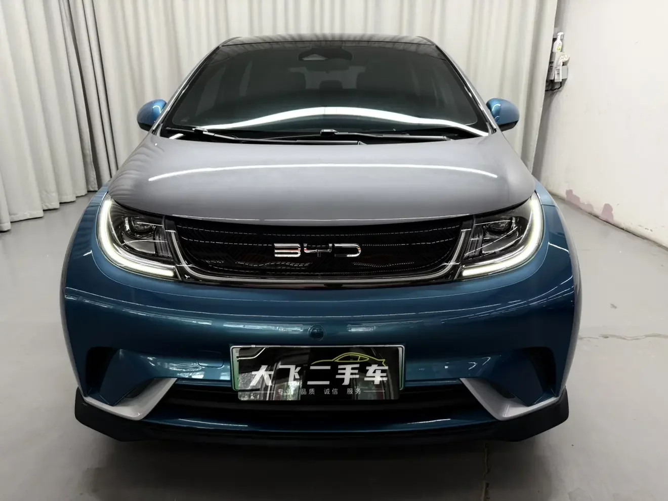 BYD dolphin