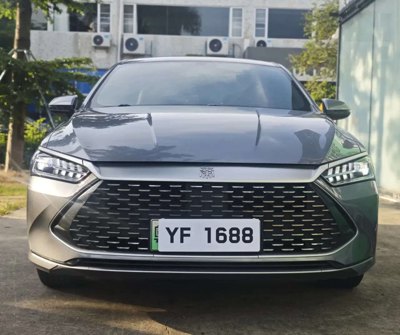 BYD Qin PLUS DM