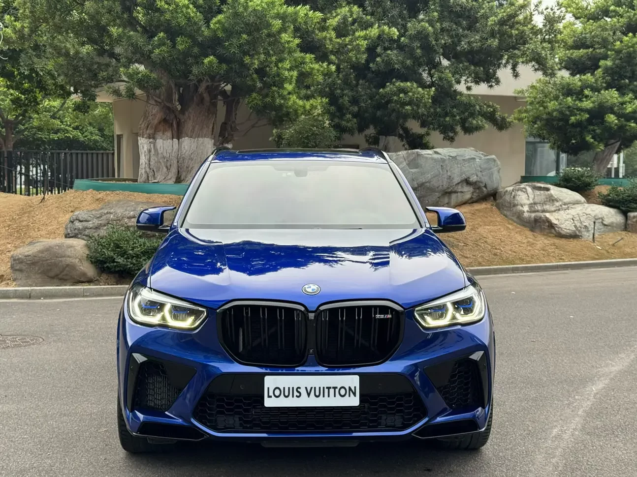 BMW X5M
