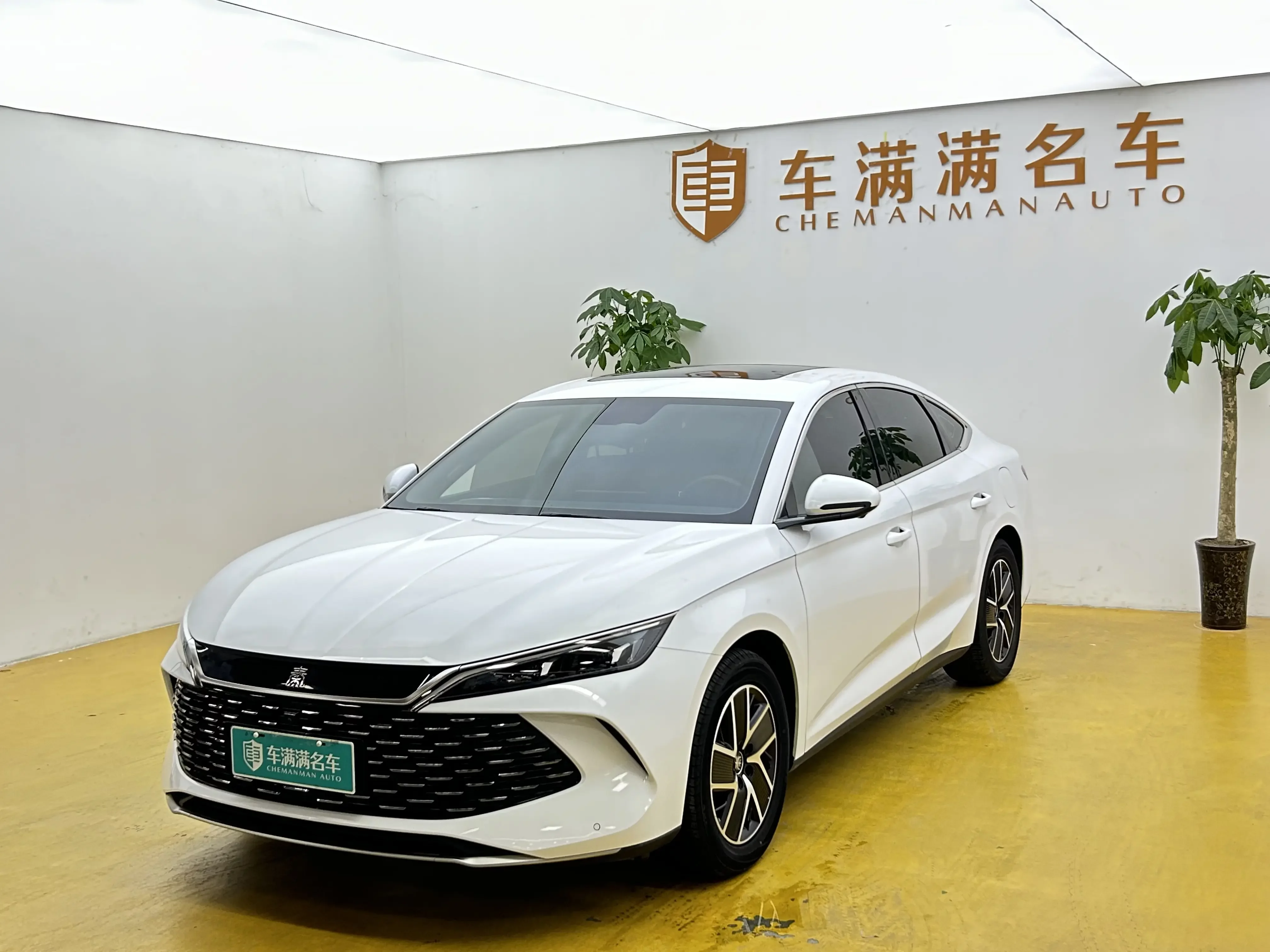 BYD Qin L DM