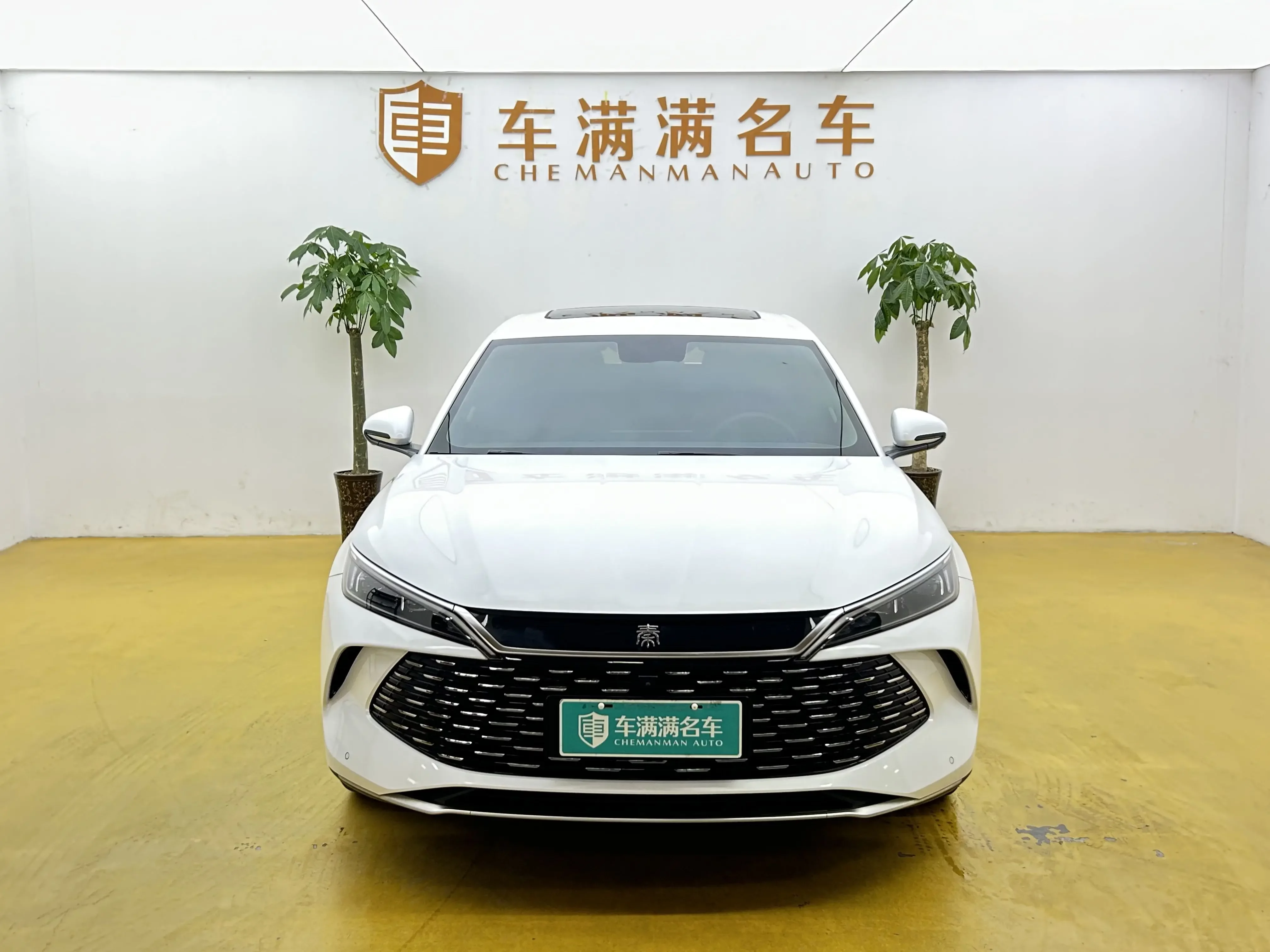 BYD Qin L DM