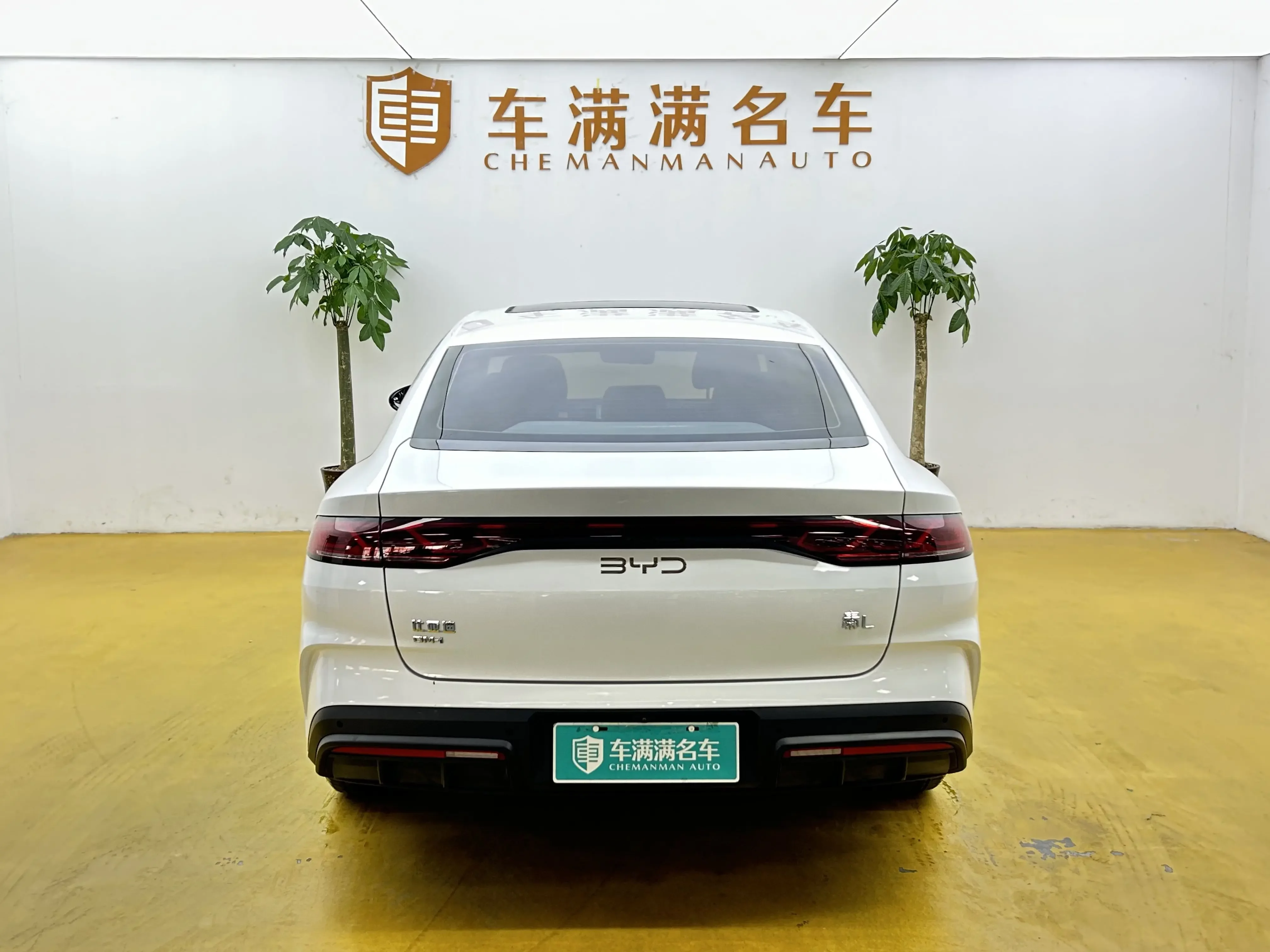 BYD Qin L DM