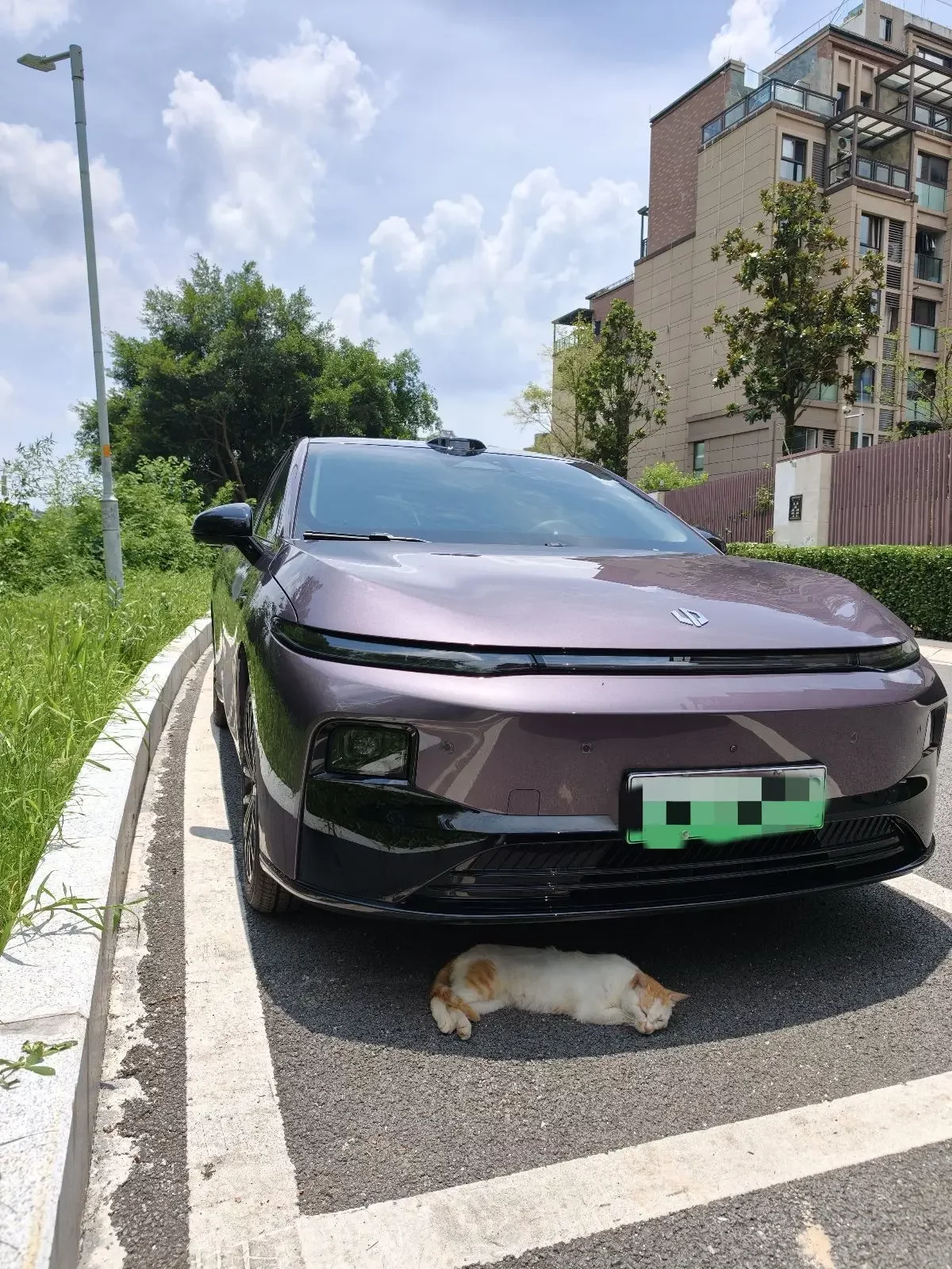 Leapmotor Leap running B01