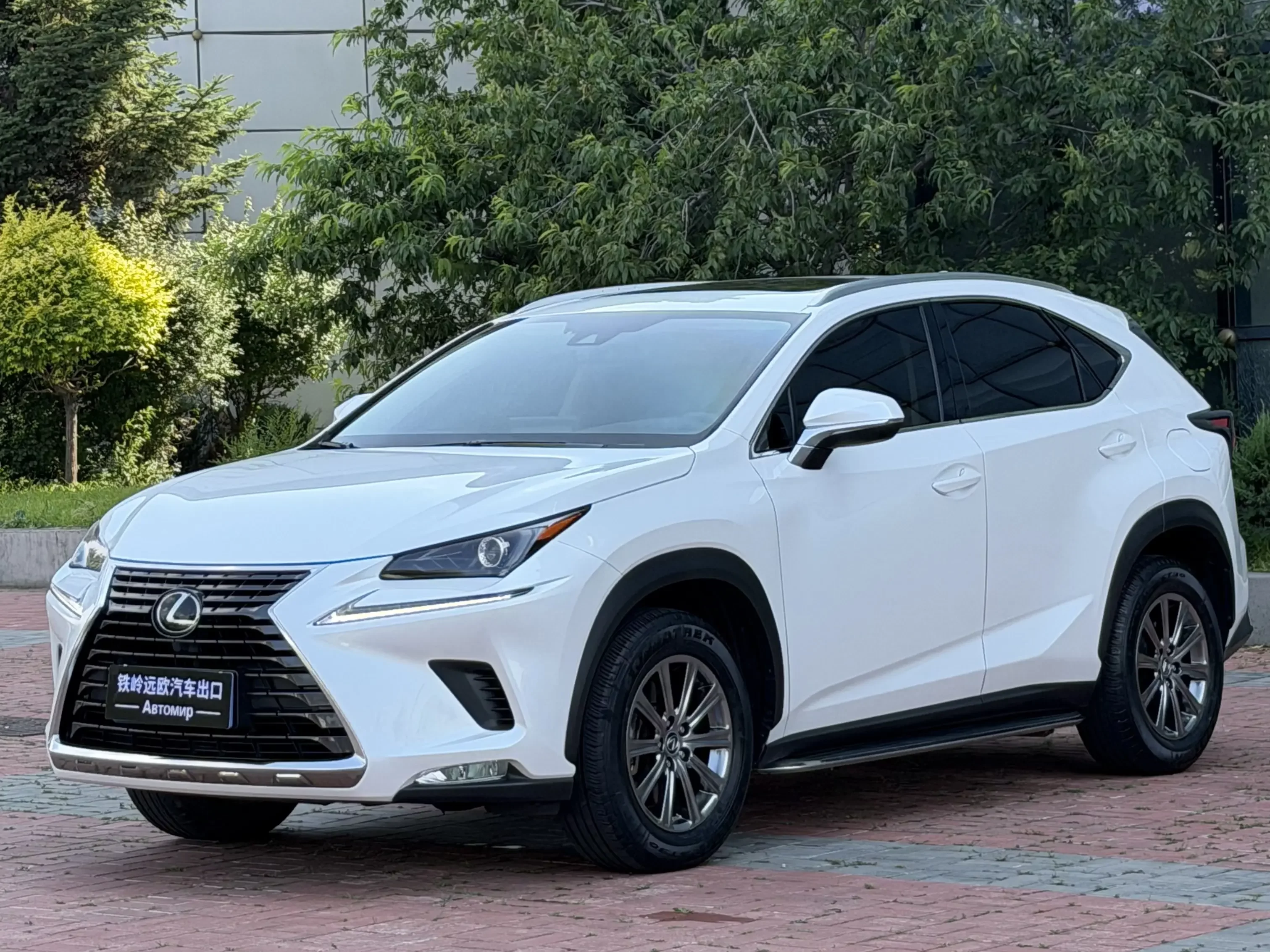 Lexus NX