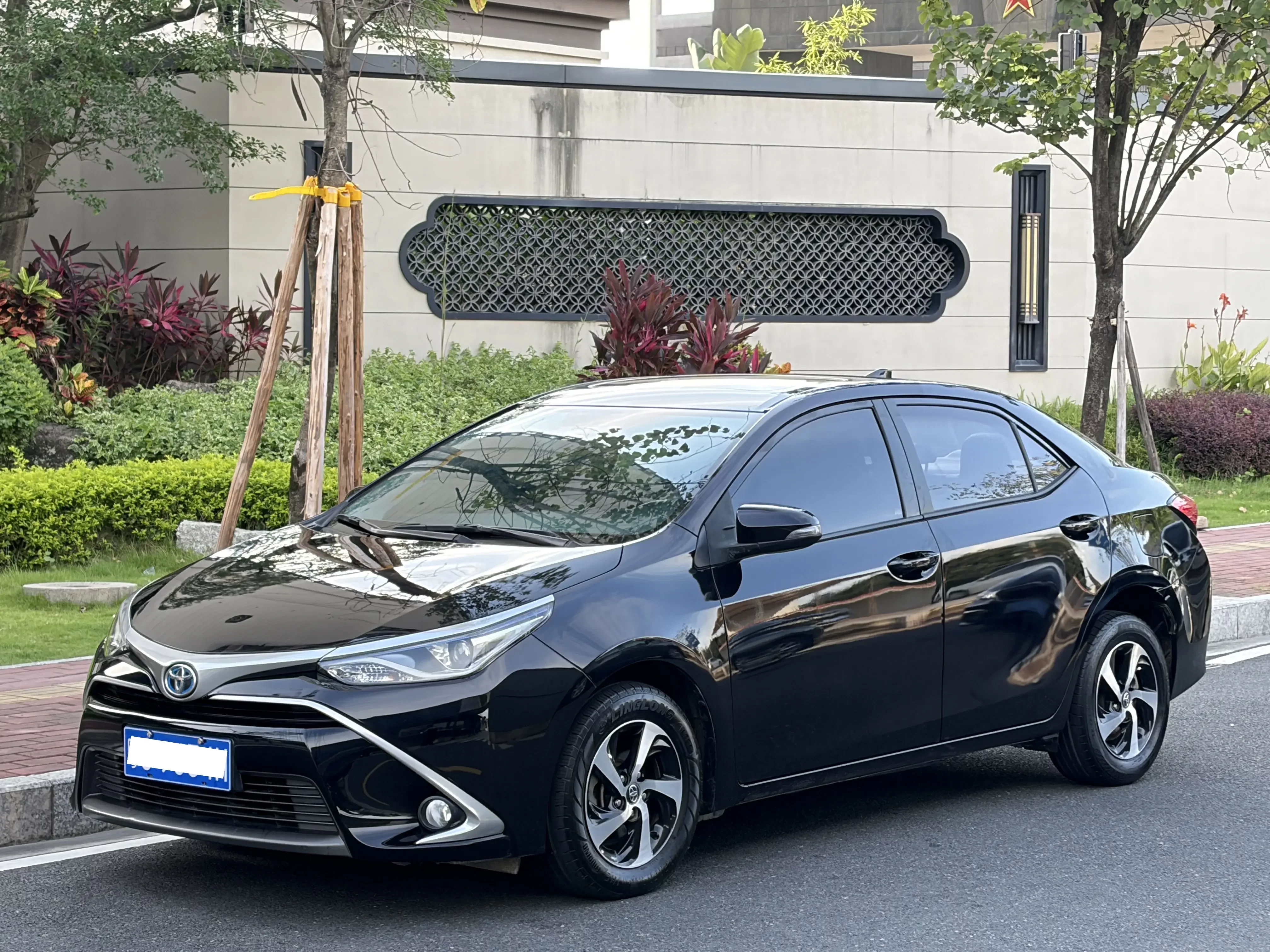 Toyota Levin