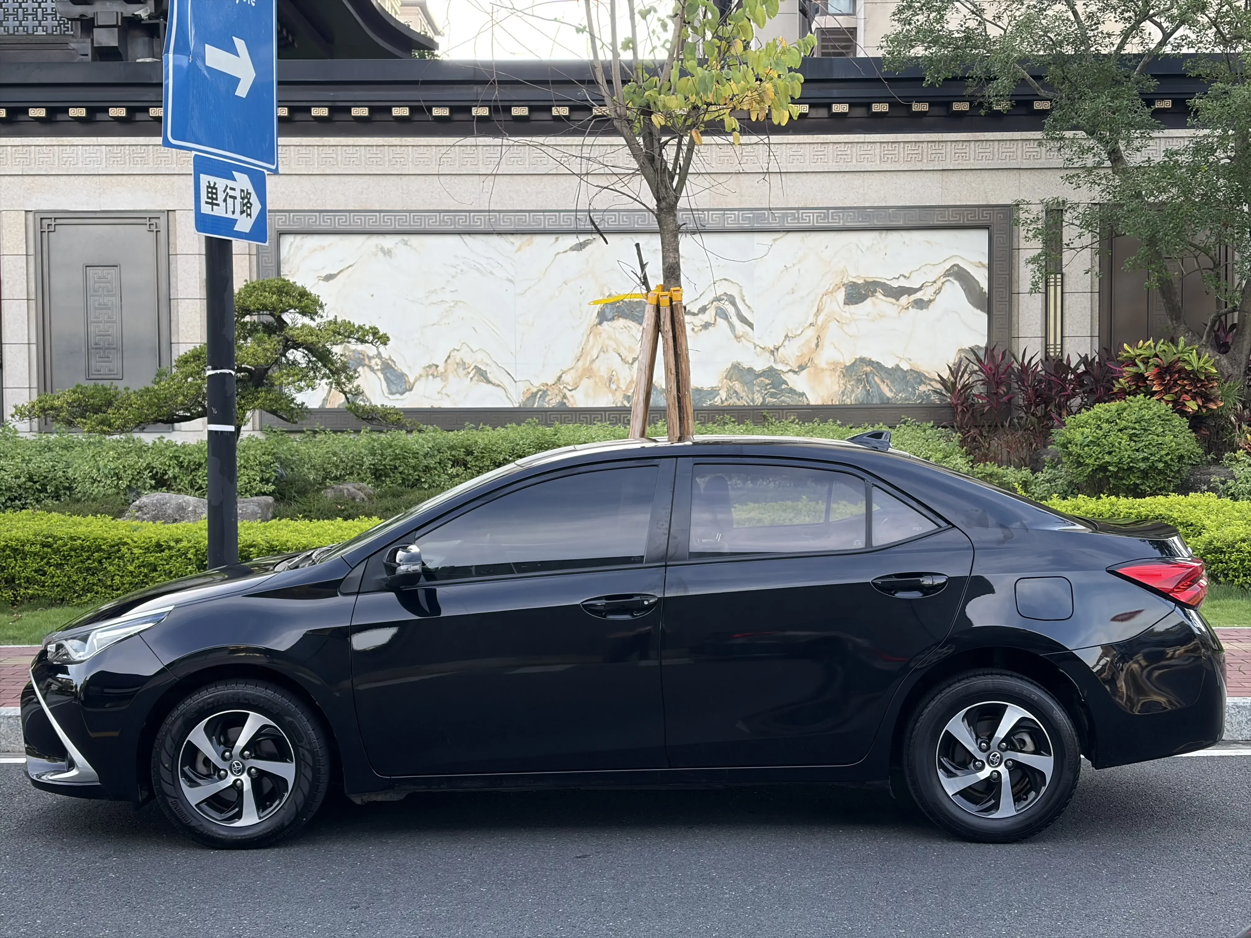 Toyota Levin