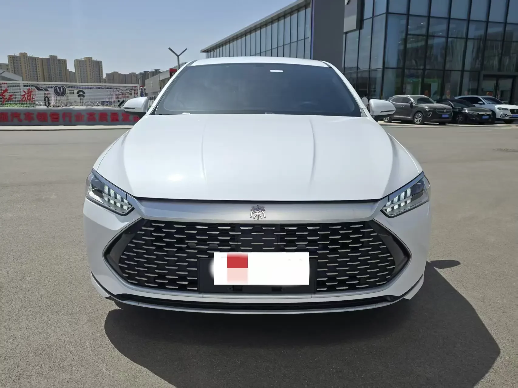 BYD Qin PLUS DM