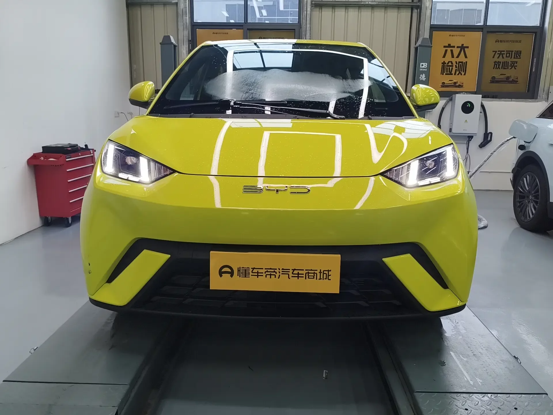 BYD seagull