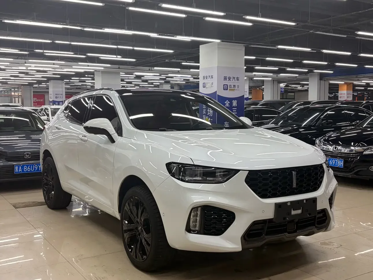 Wey Wei brand VV5