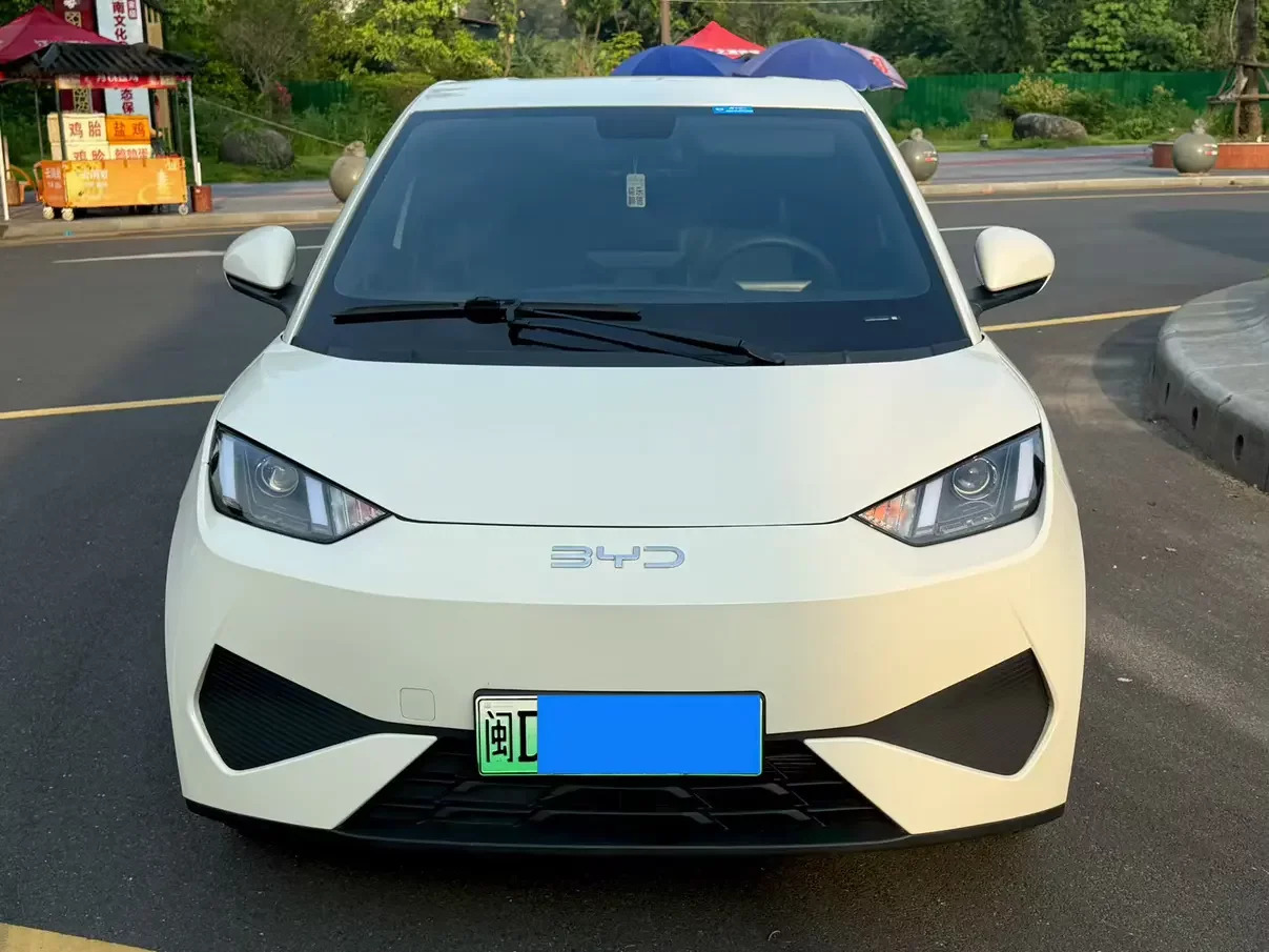 BYD seagull