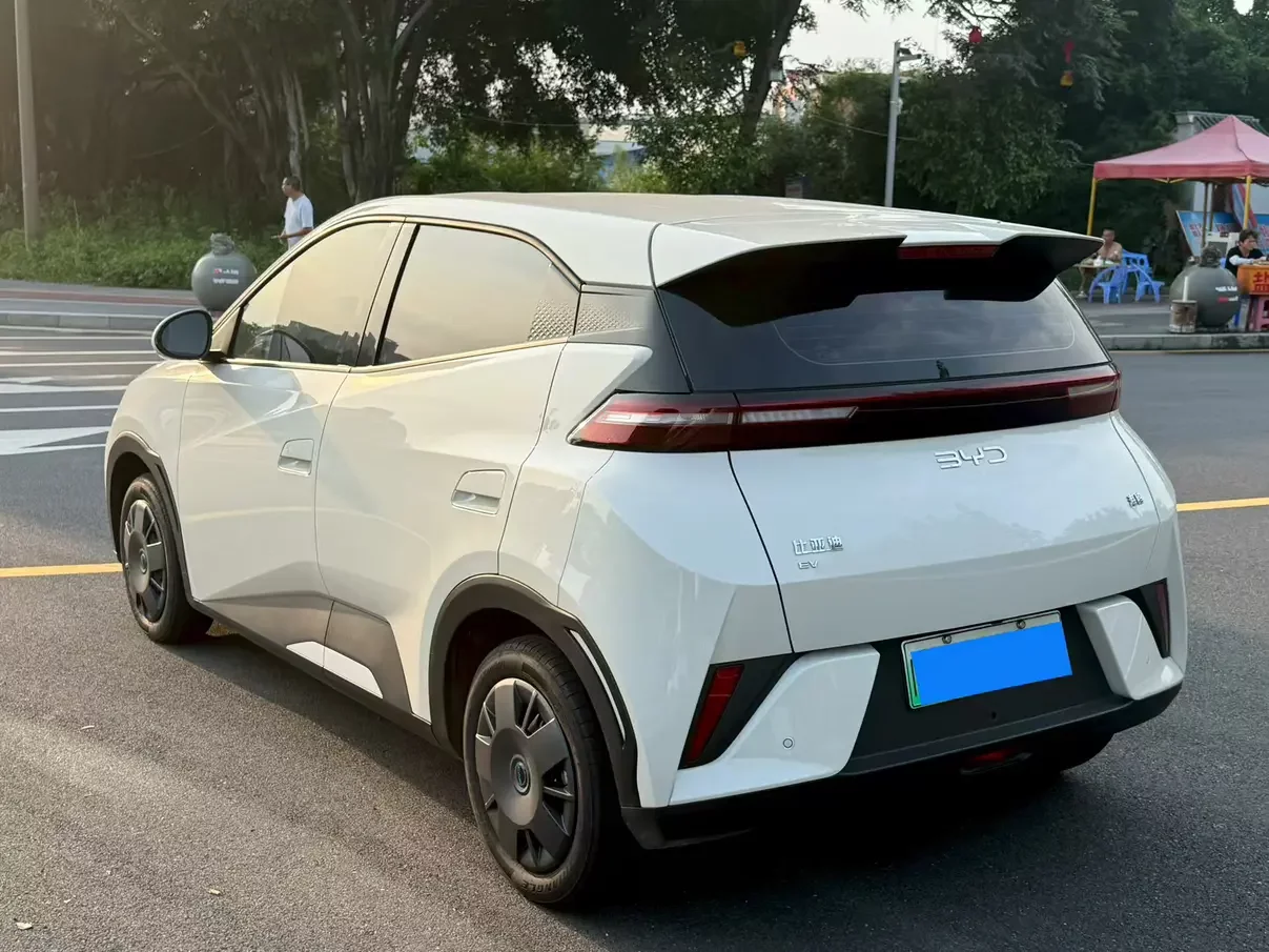 BYD seagull