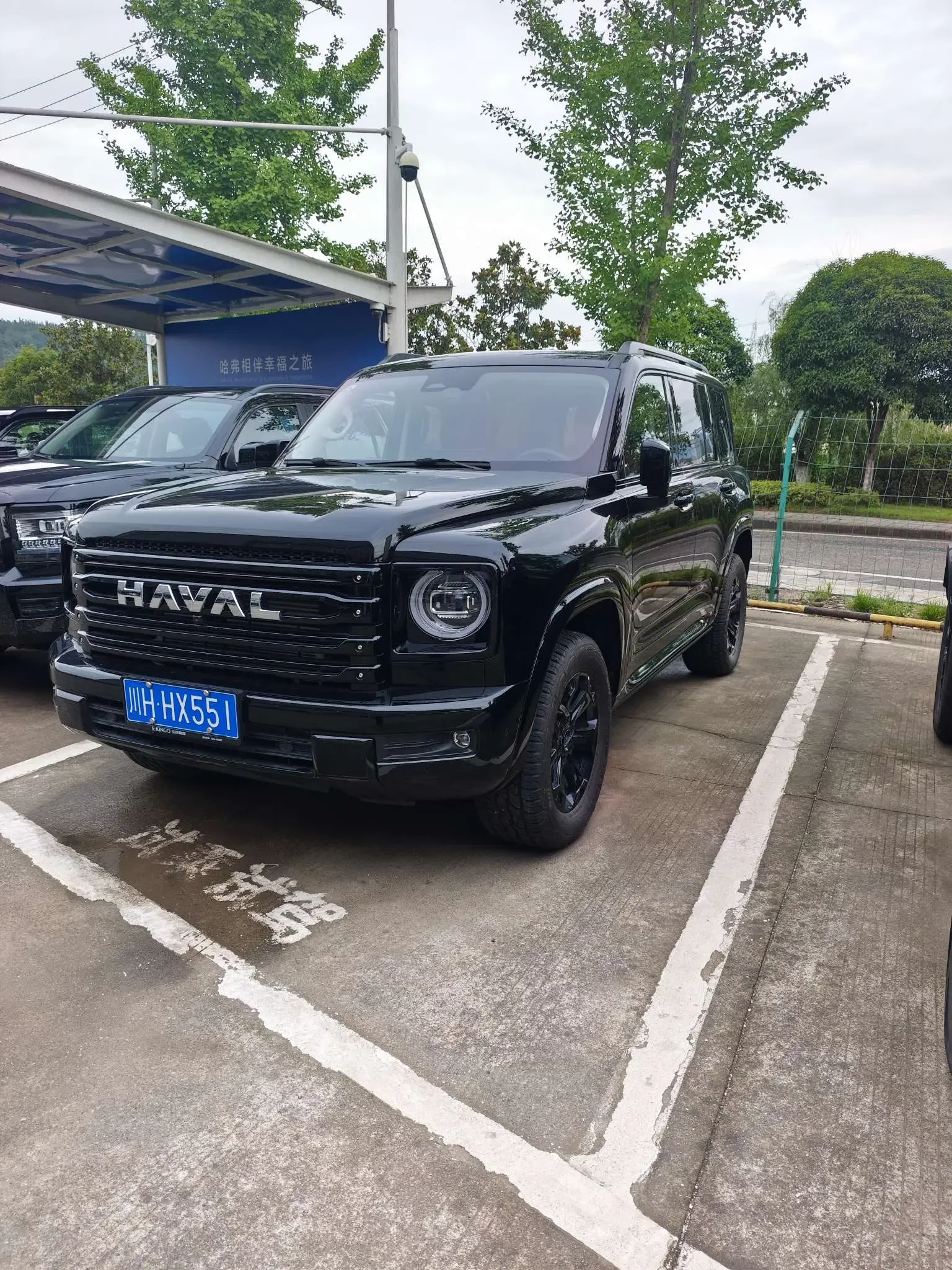 Haval H9