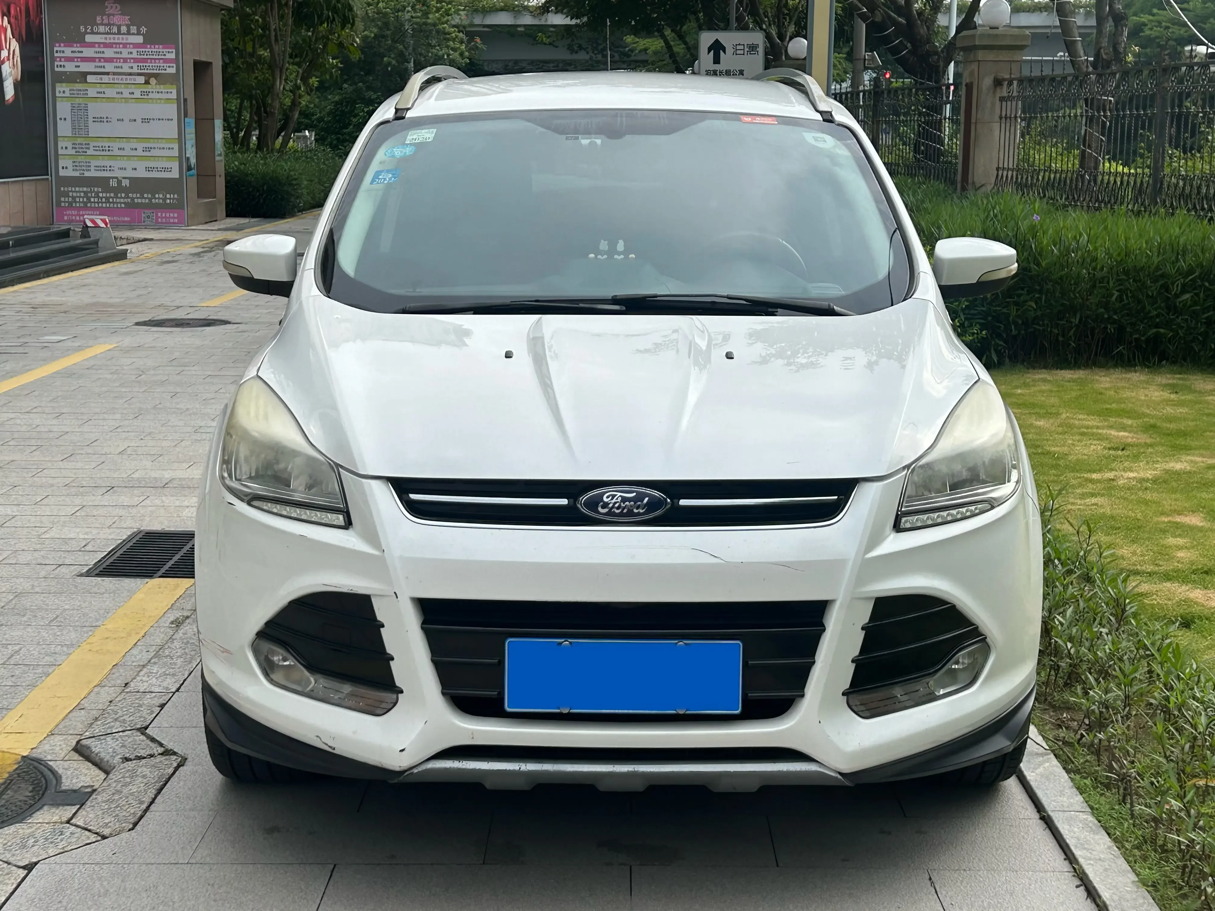 Ford wing tiger