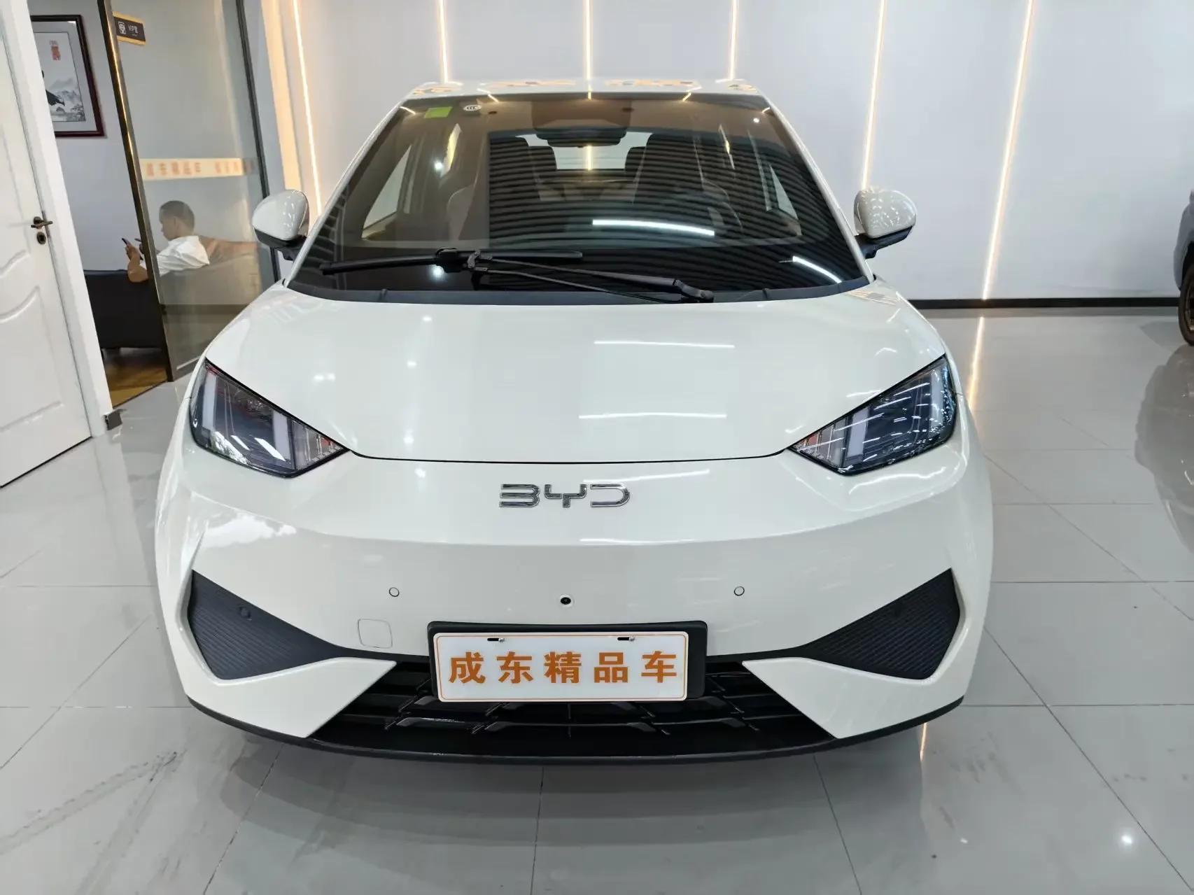 BYD seagull