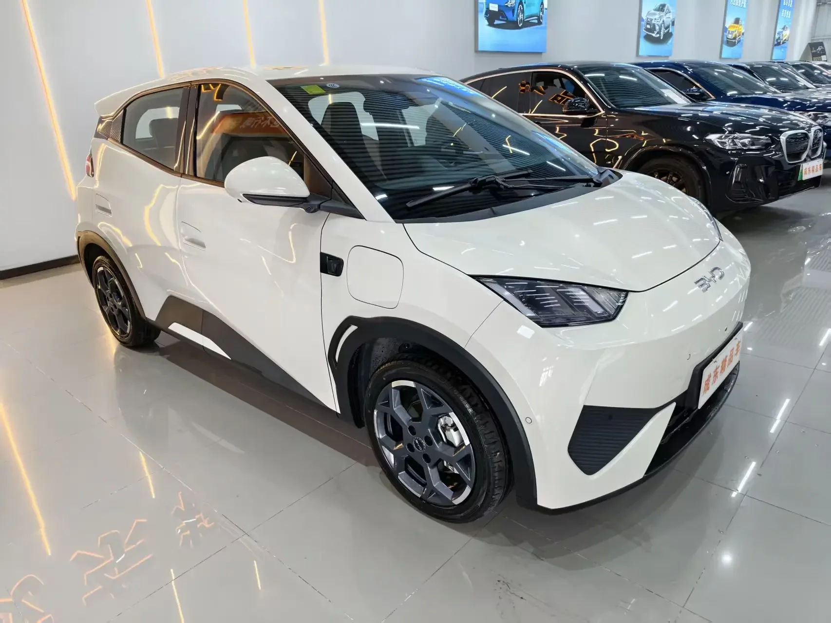 BYD seagull