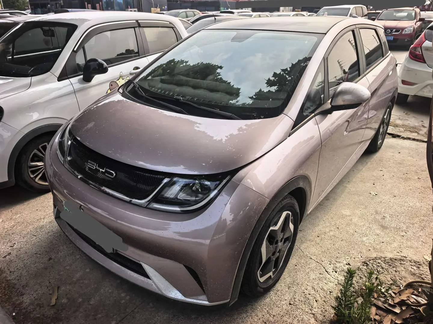 BYD dolphin
