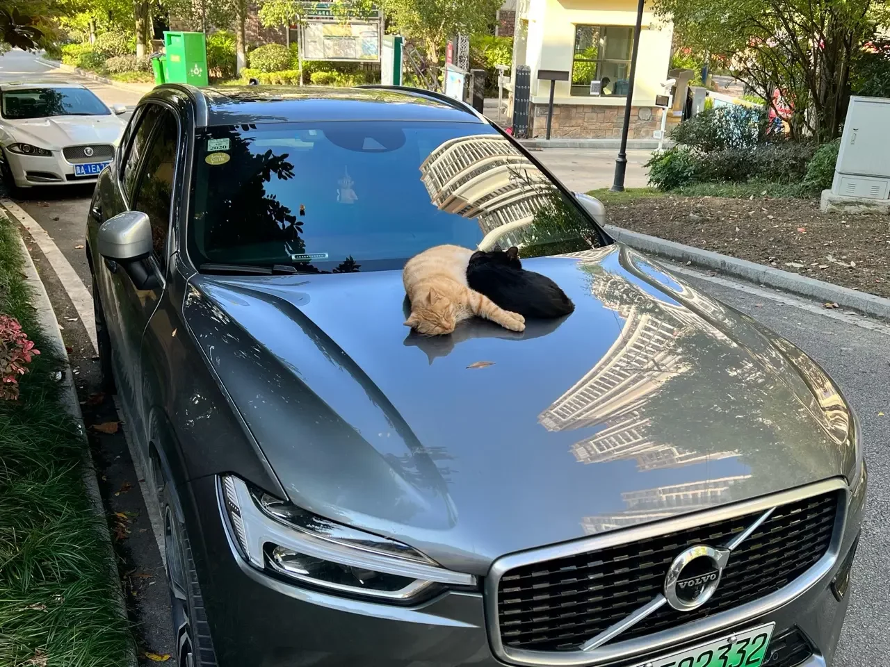 Volvo XC60 PHEV
