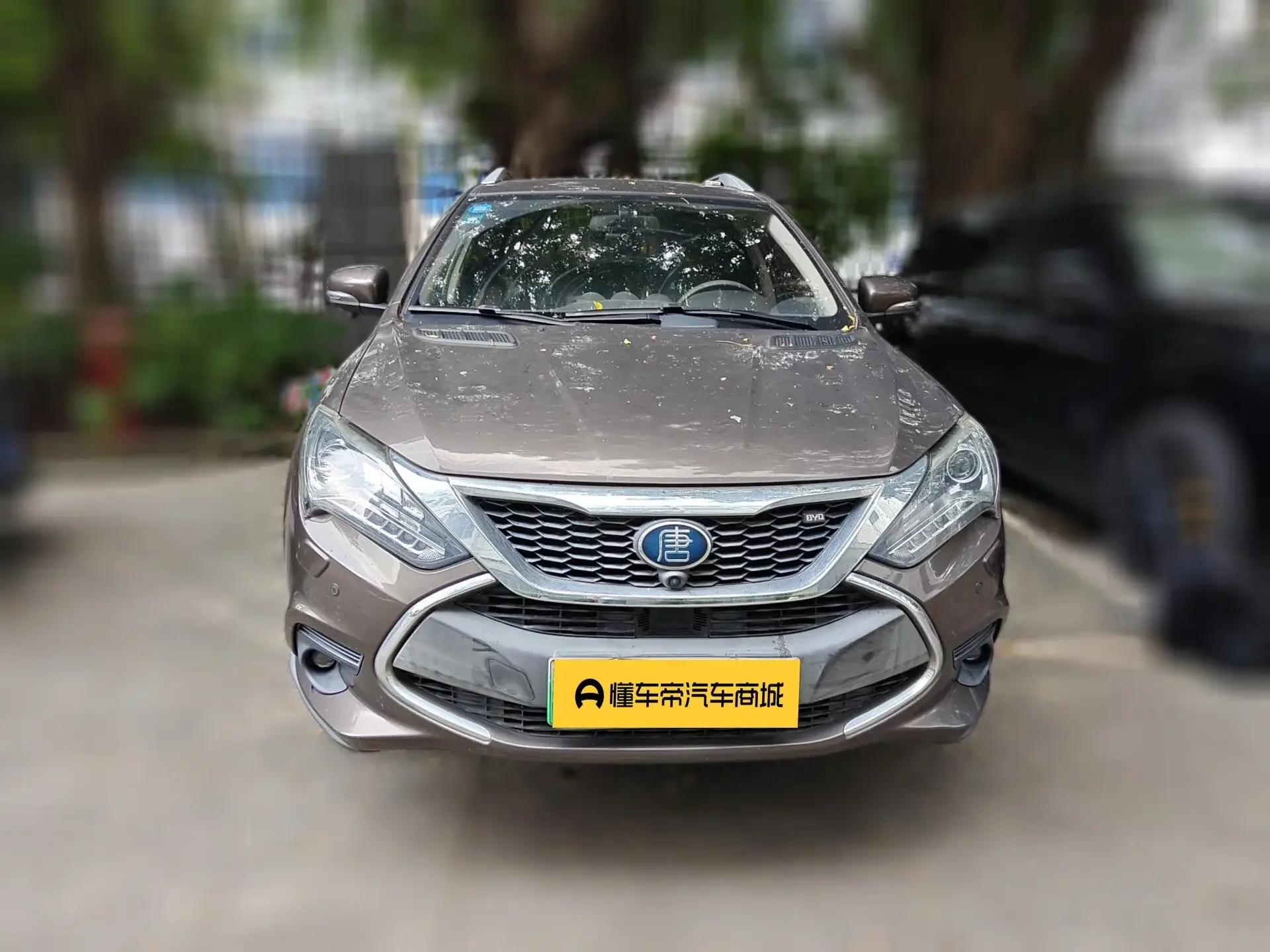 BYD Tang DM