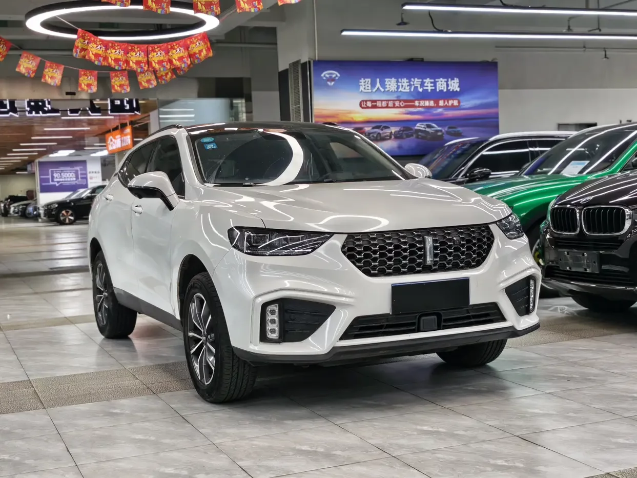 Wey Wei brand VV5