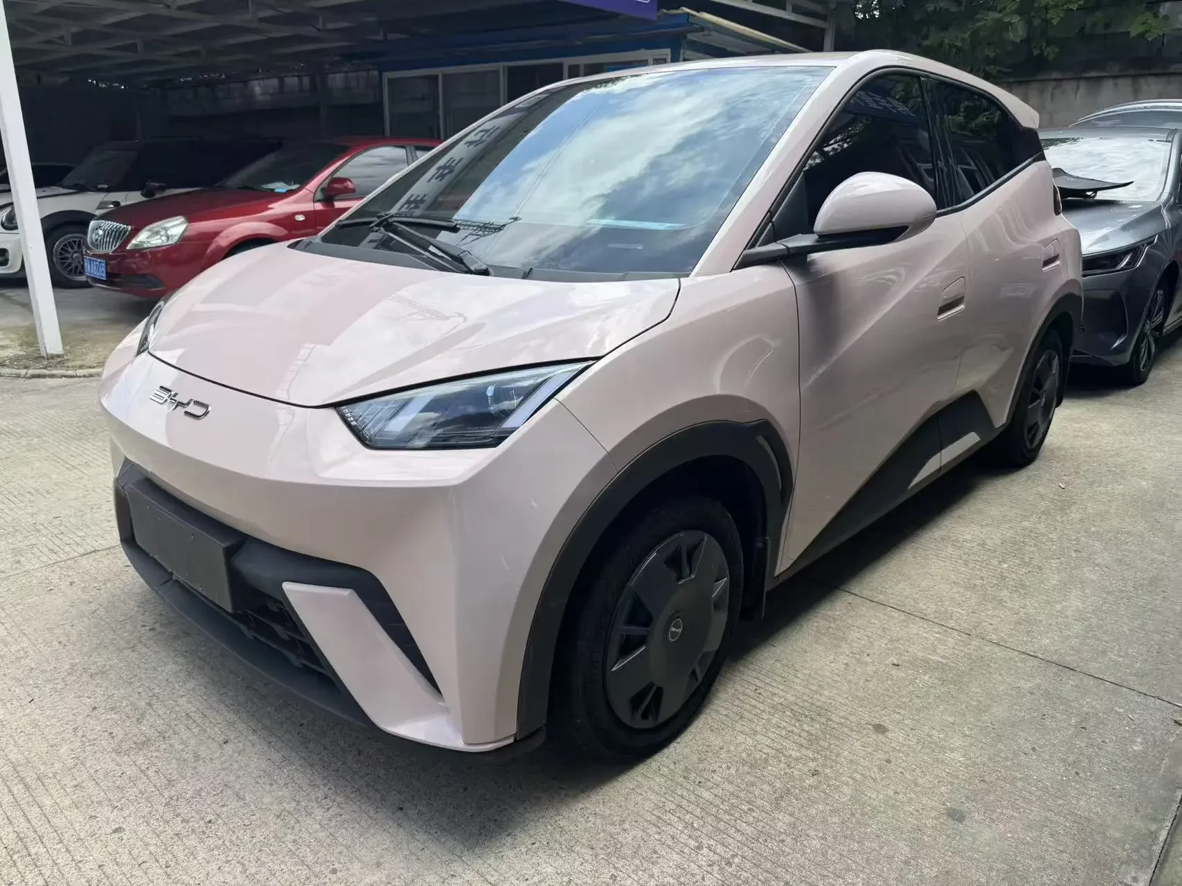 BYD seagull