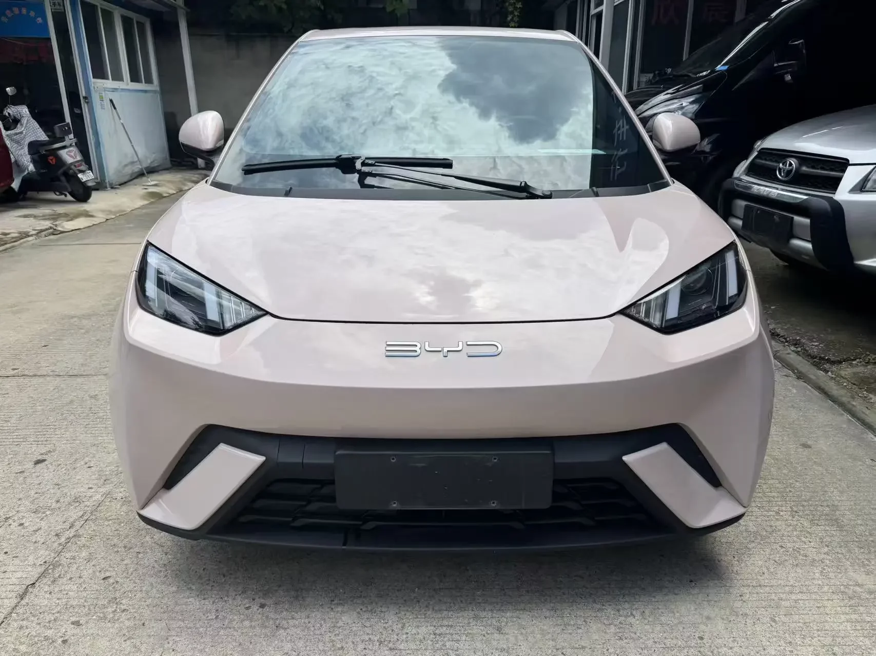 BYD seagull
