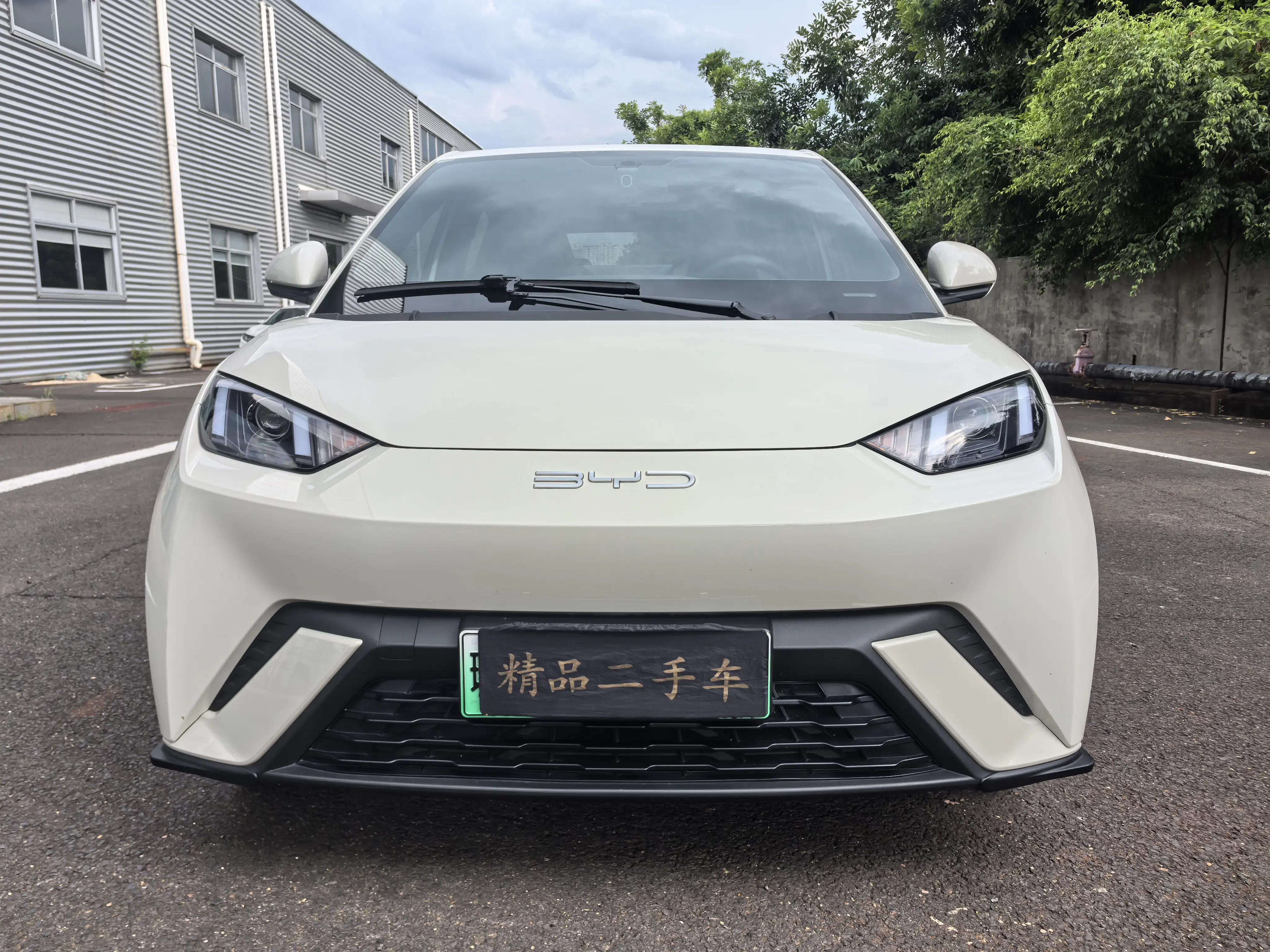 BYD seagull