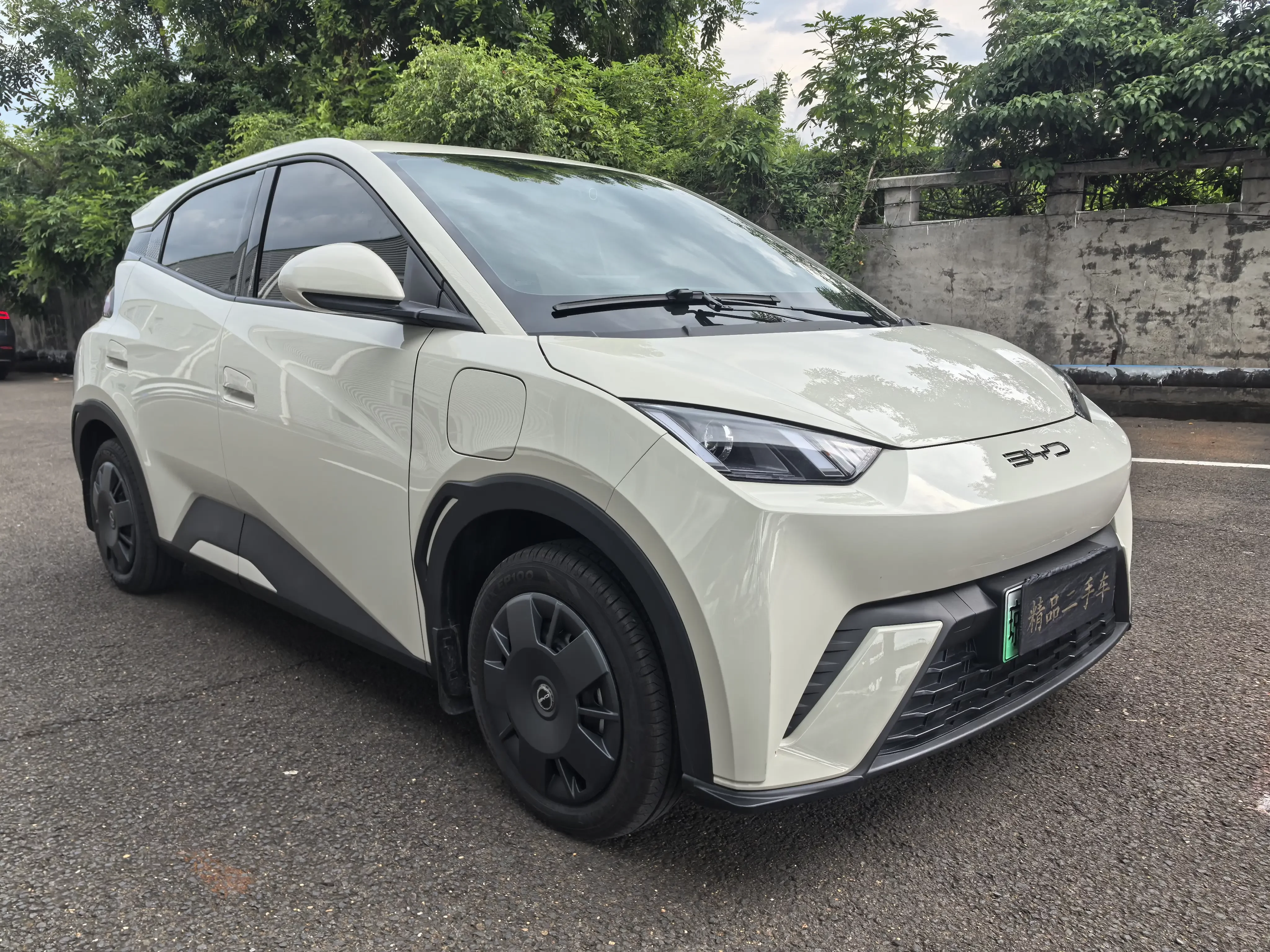 BYD seagull