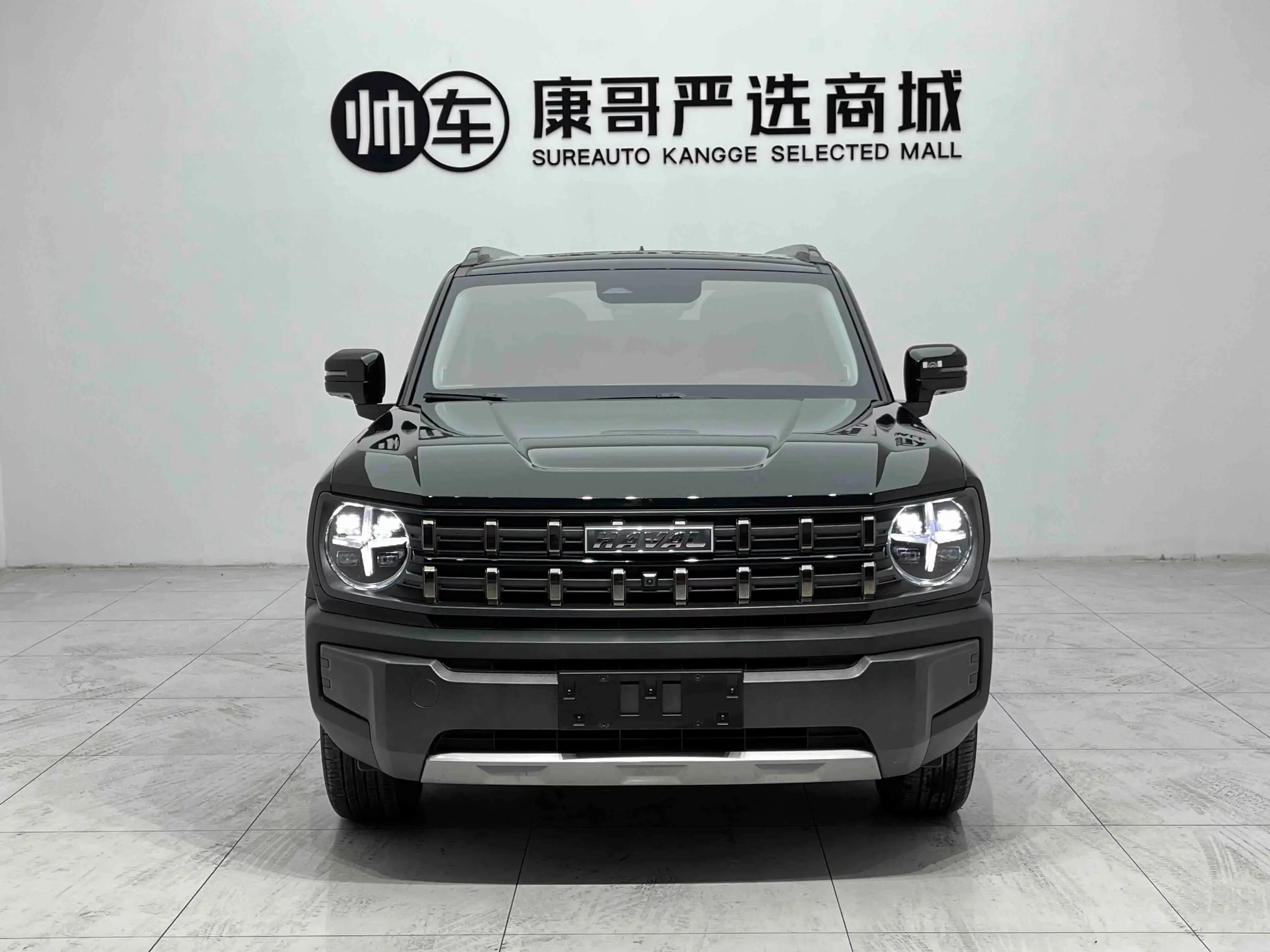 Haval cool dog