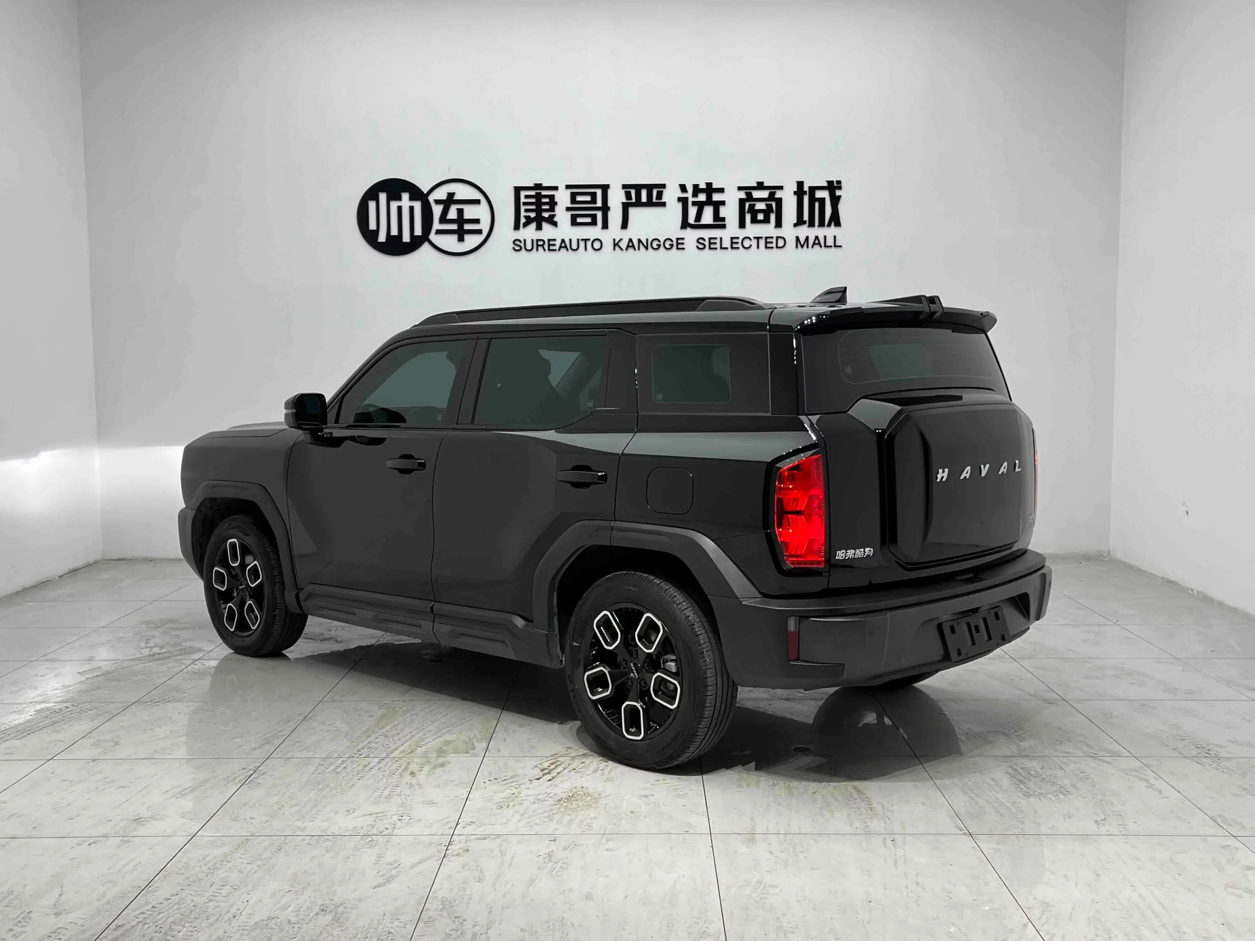 Haval cool dog