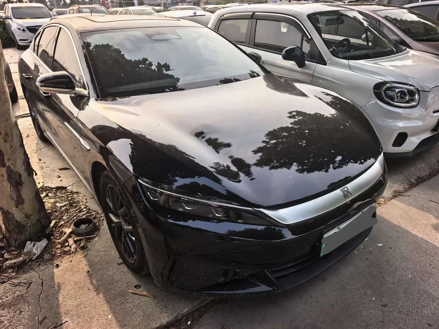 BYD HAN DM
