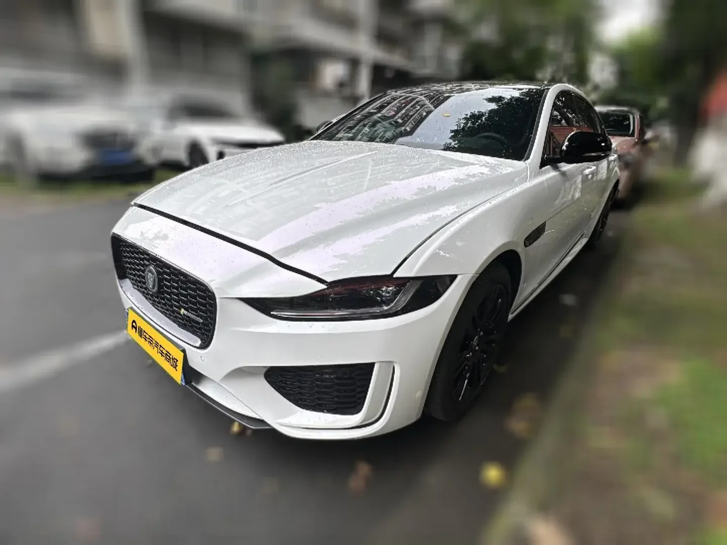 Jaguar XEL