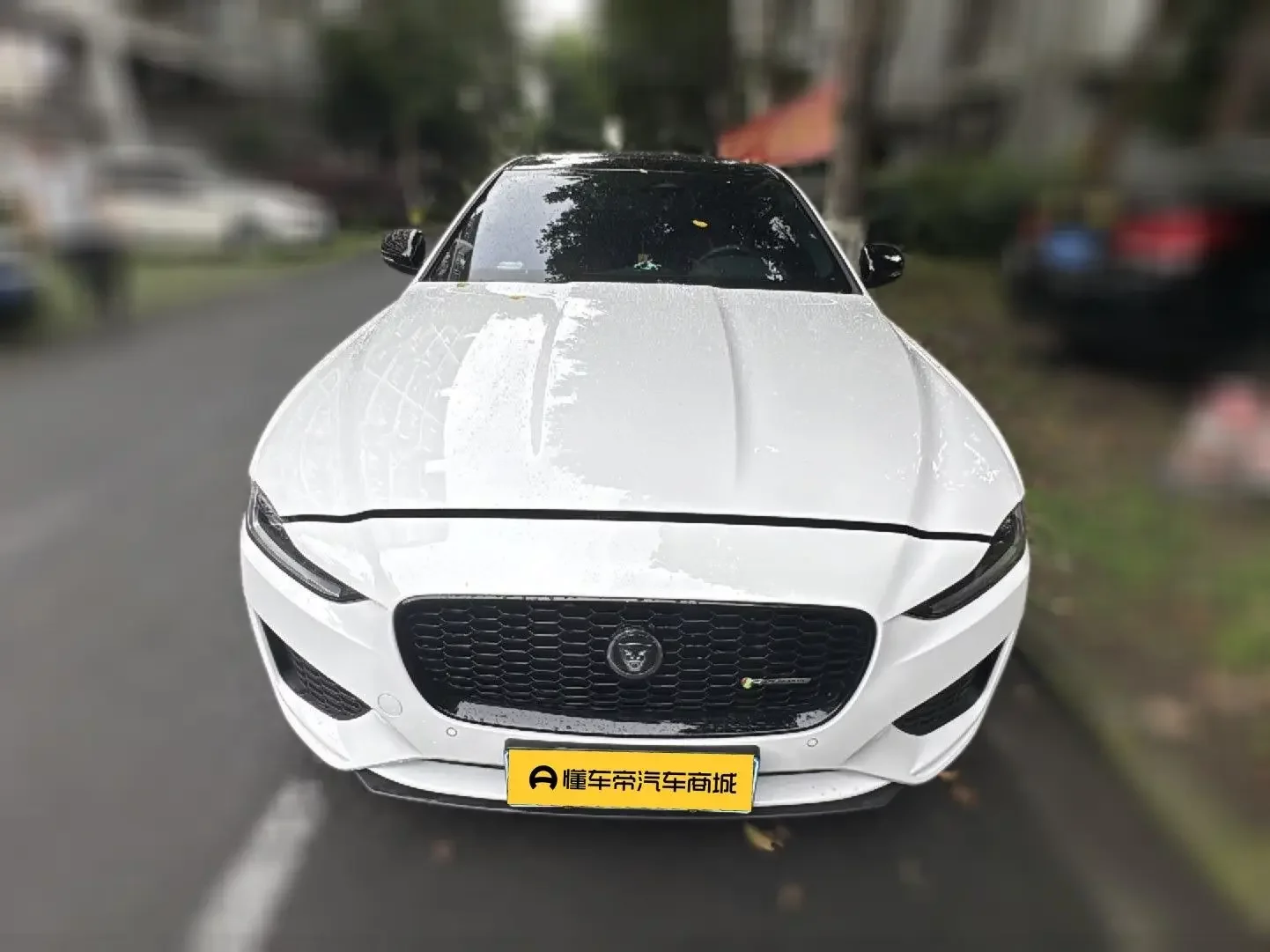 Jaguar XEL