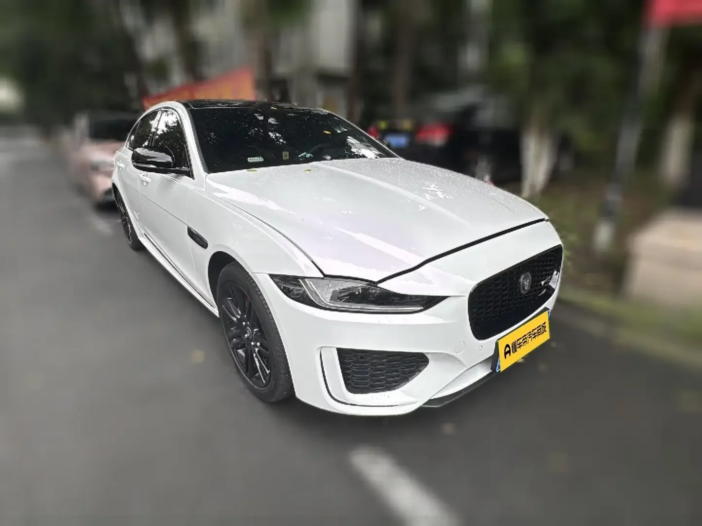 Jaguar XEL