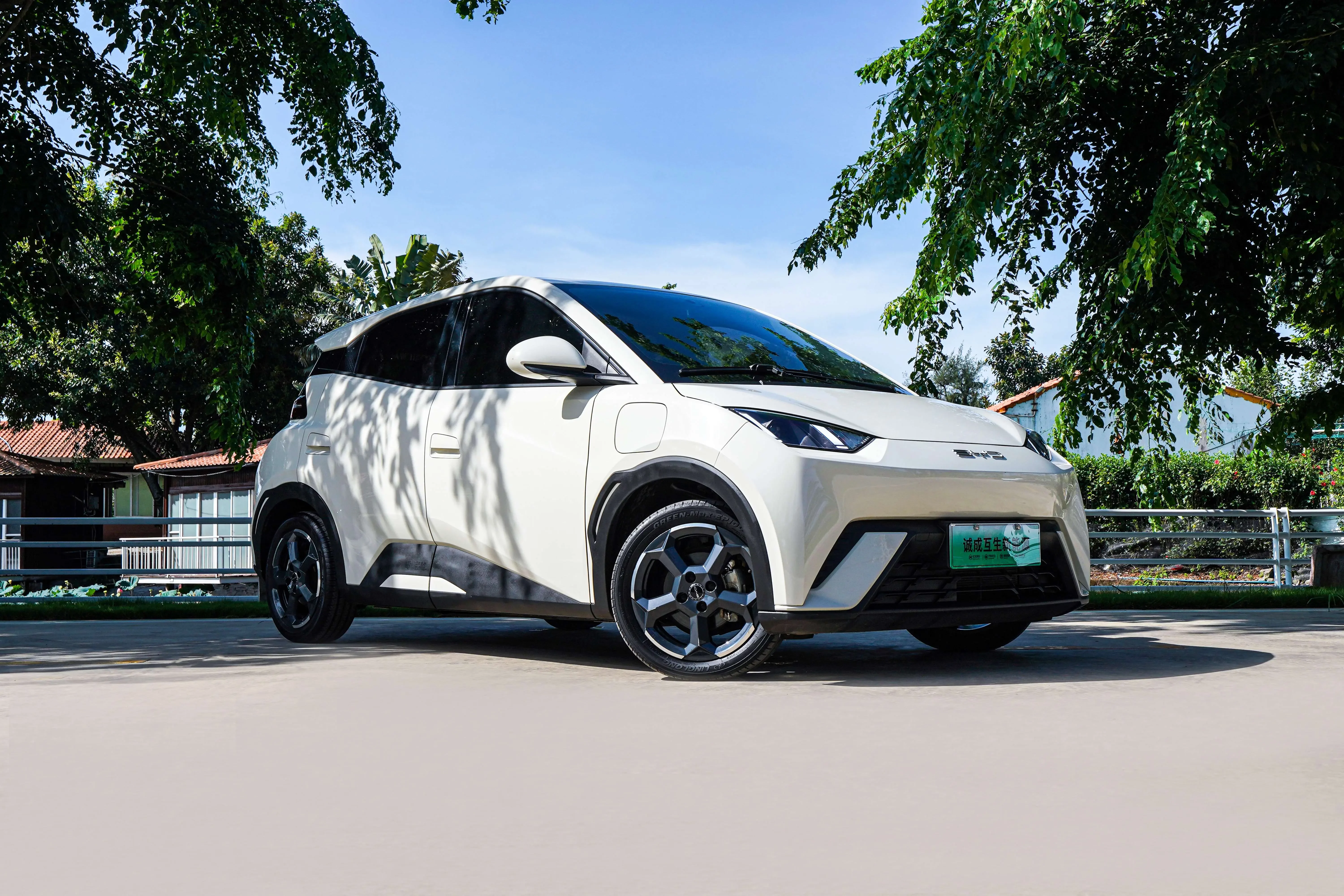 BYD seagull