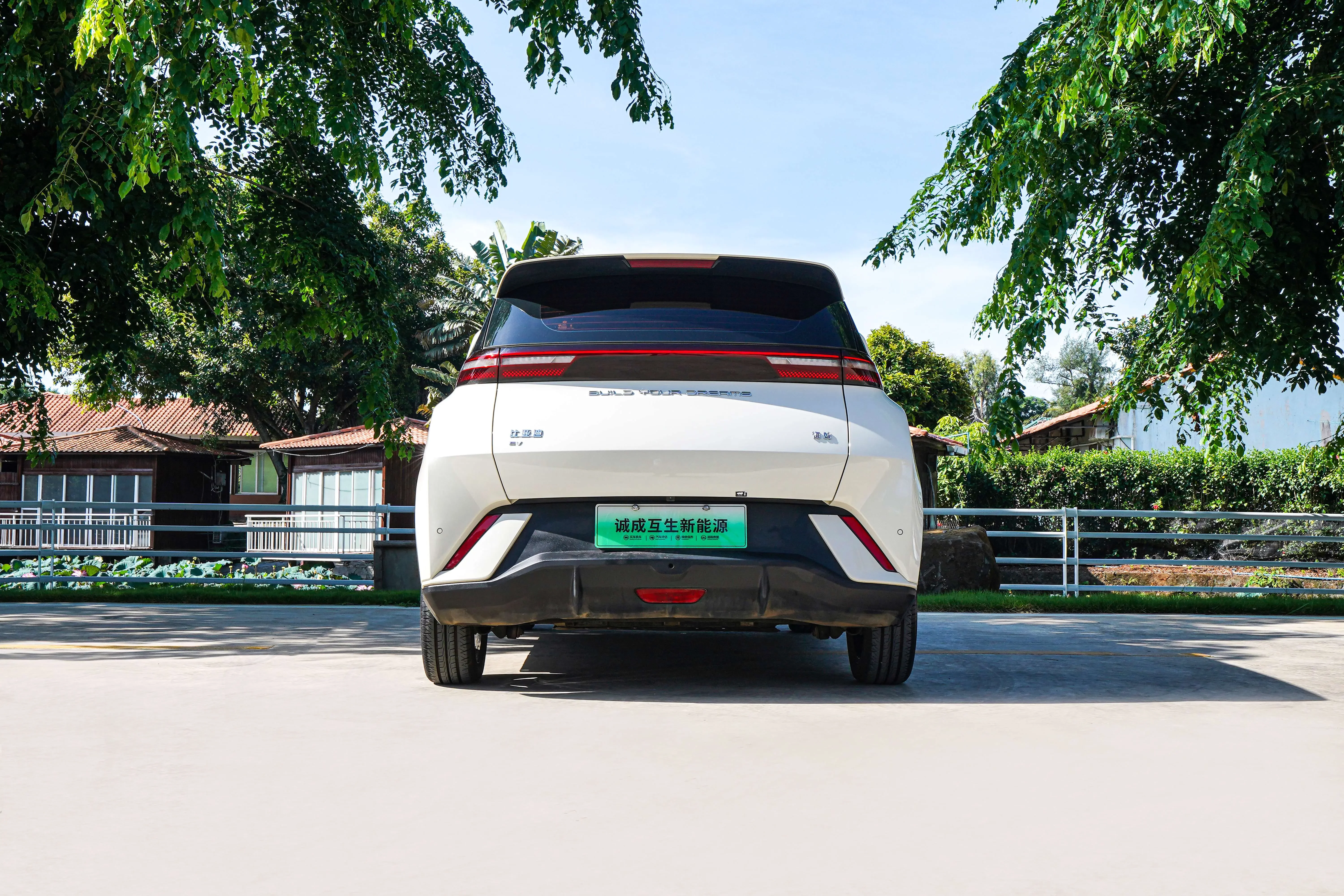 BYD seagull