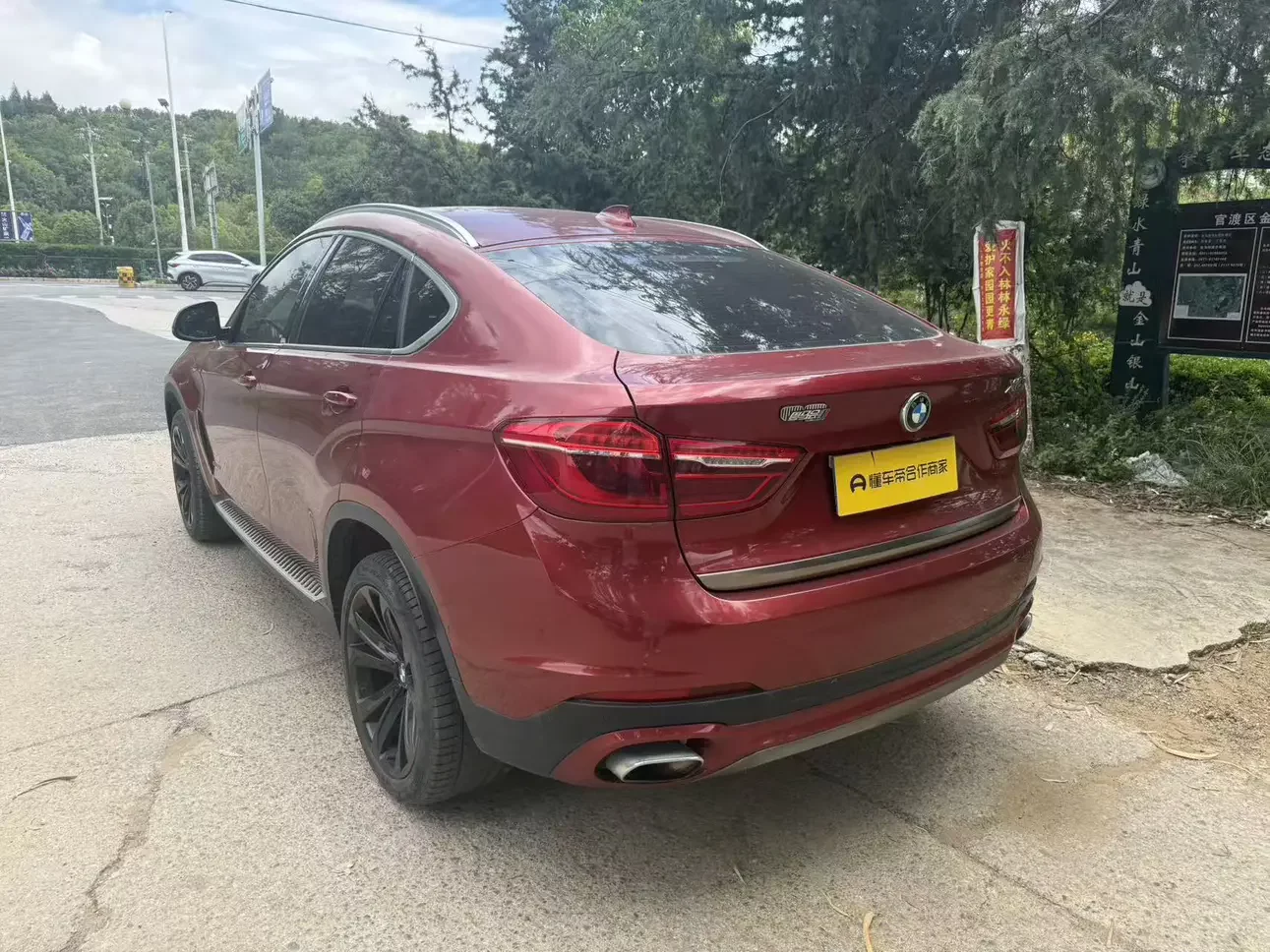 BMW X6