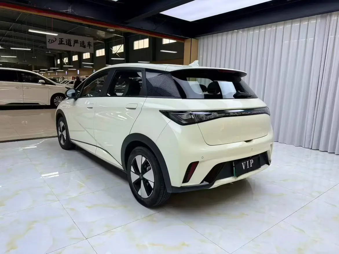 BYD dolphin