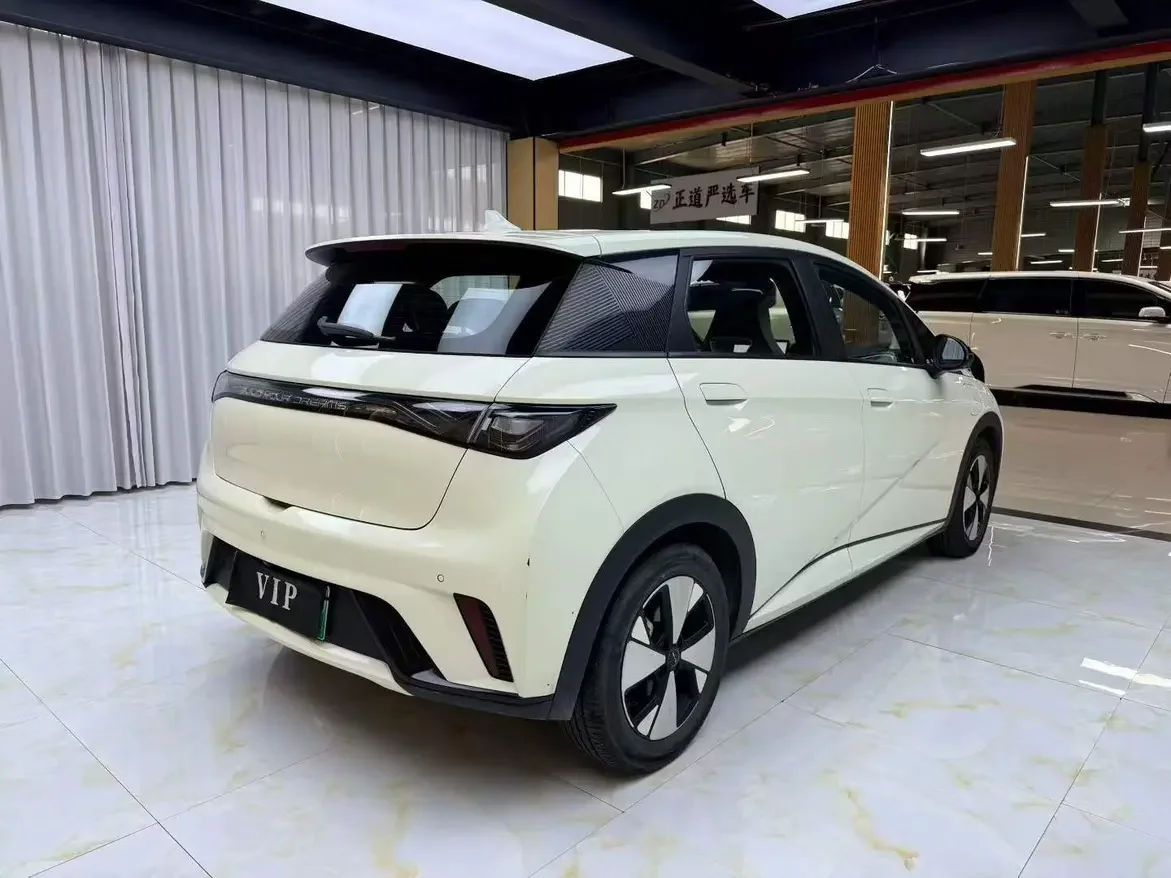 BYD dolphin