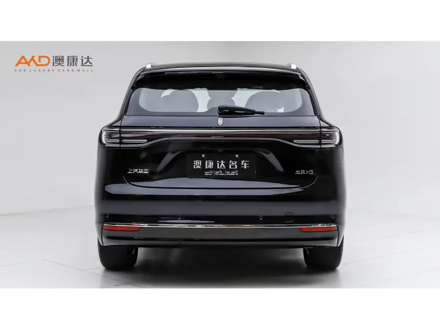 Shangjie H5