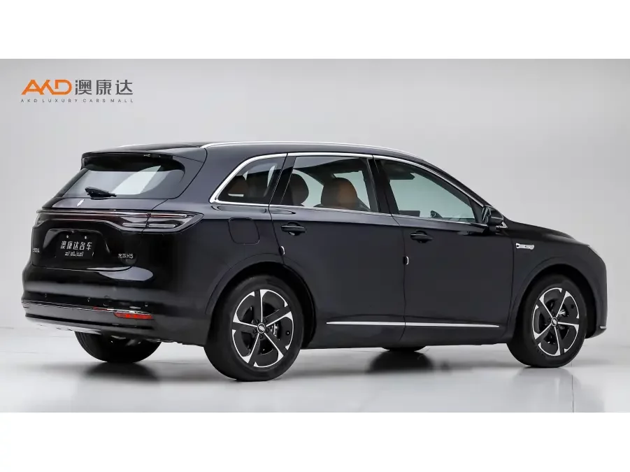 Shangjie H5